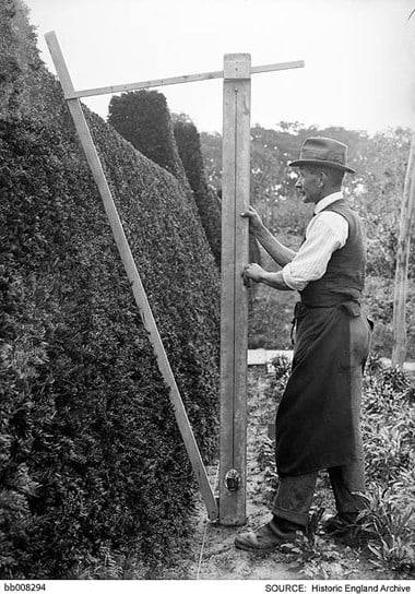 Great Dixter, checking the angle of the clipped yew hedge