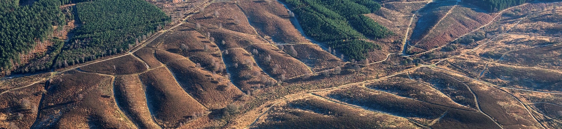 Colour aerial photo showing heathland with deeply incised valleys and some plantations