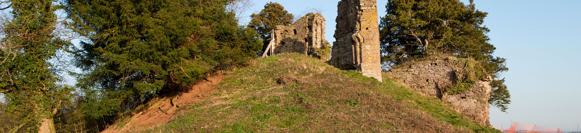 View of a ruined motte and bailley castle partly overgrown with trees.
