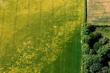 Aerial view of Iron Age square barrows
