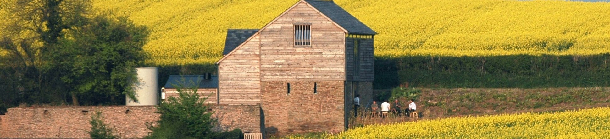 A renovated barn surrounded by golden fields of flowering rape crops