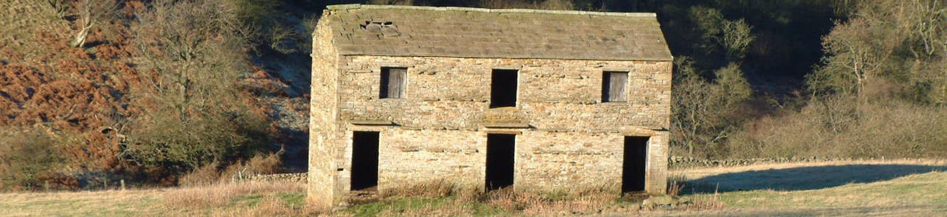 Derelict farm building in the middle of a meadow with bare winter woodland in the  background.