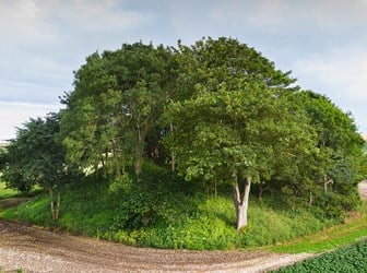 General view of several trees on top of a mound surrounded by fields. 