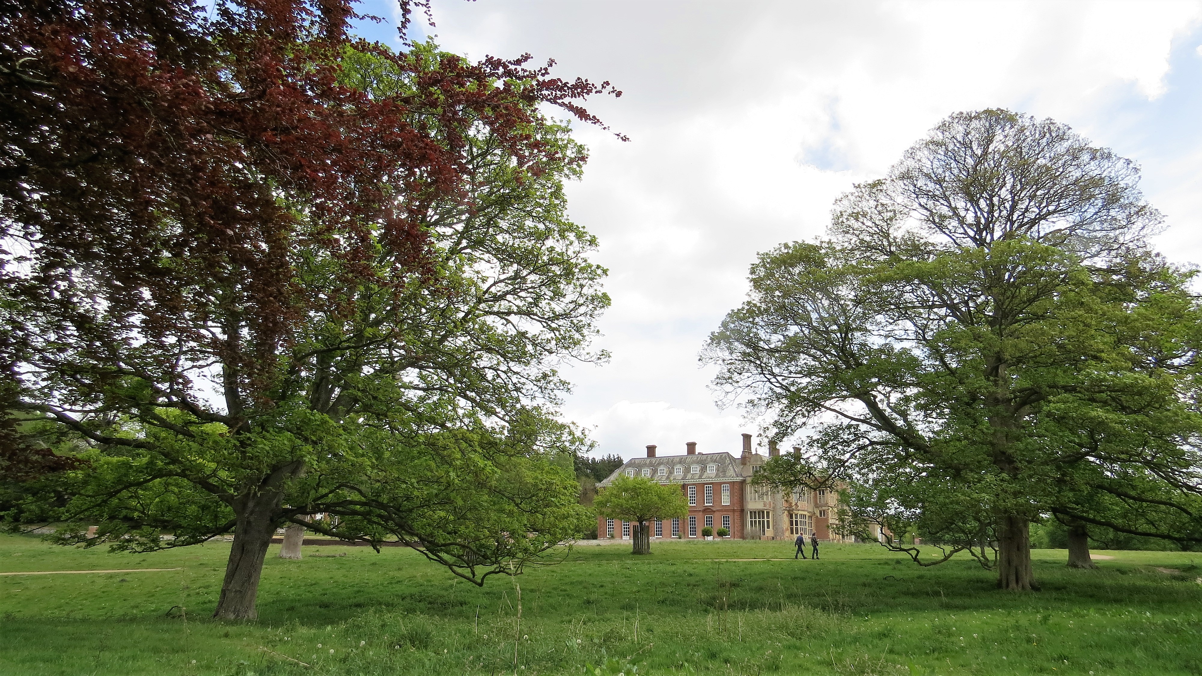 Parkland trees stand around Felbrigg Hall.