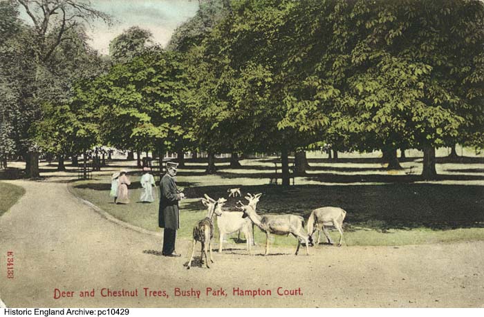 BUSHY PARK Non Civil Parish 1000281 Historic England