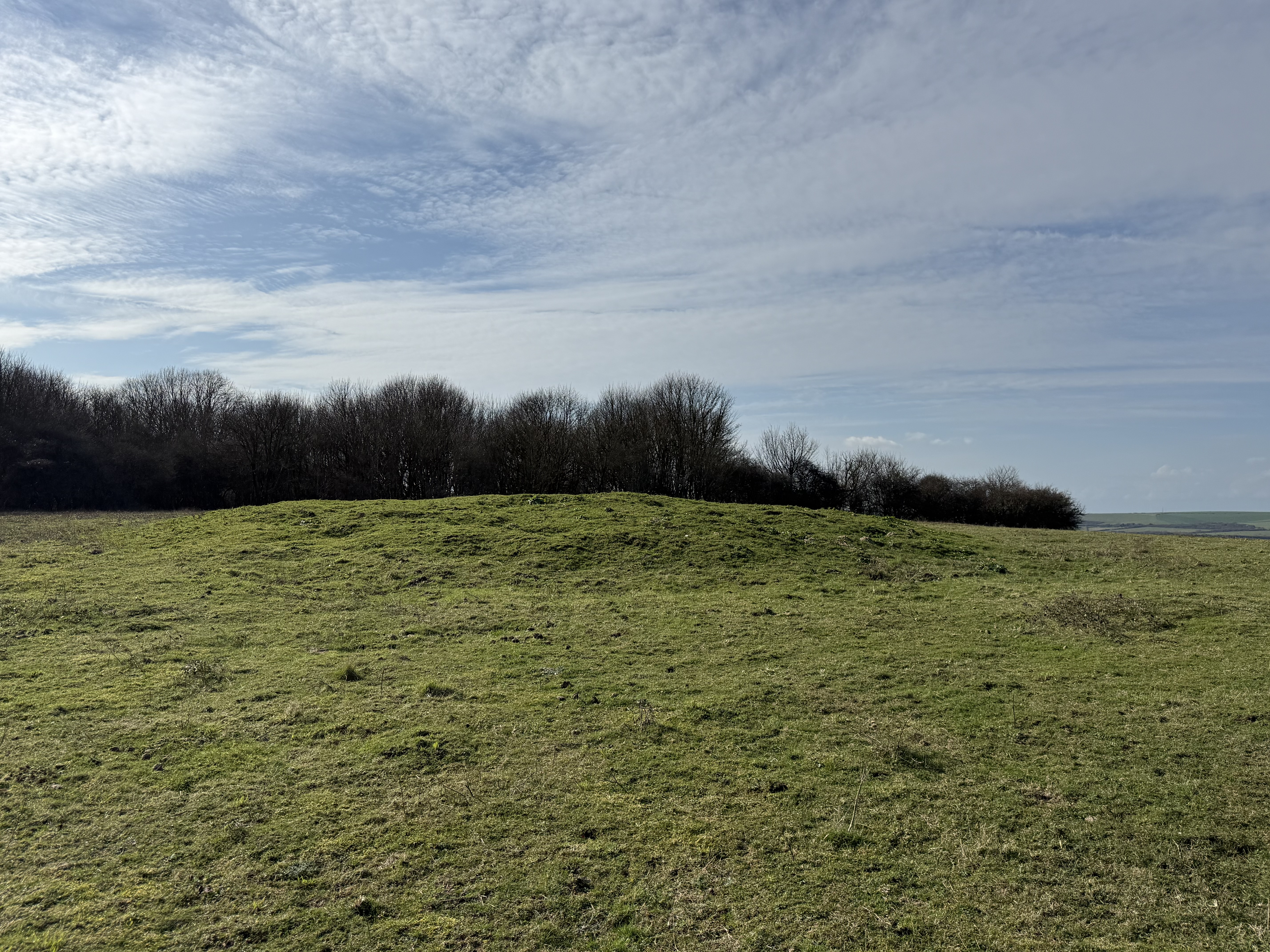 Round barrow SW of Winchester's Pond