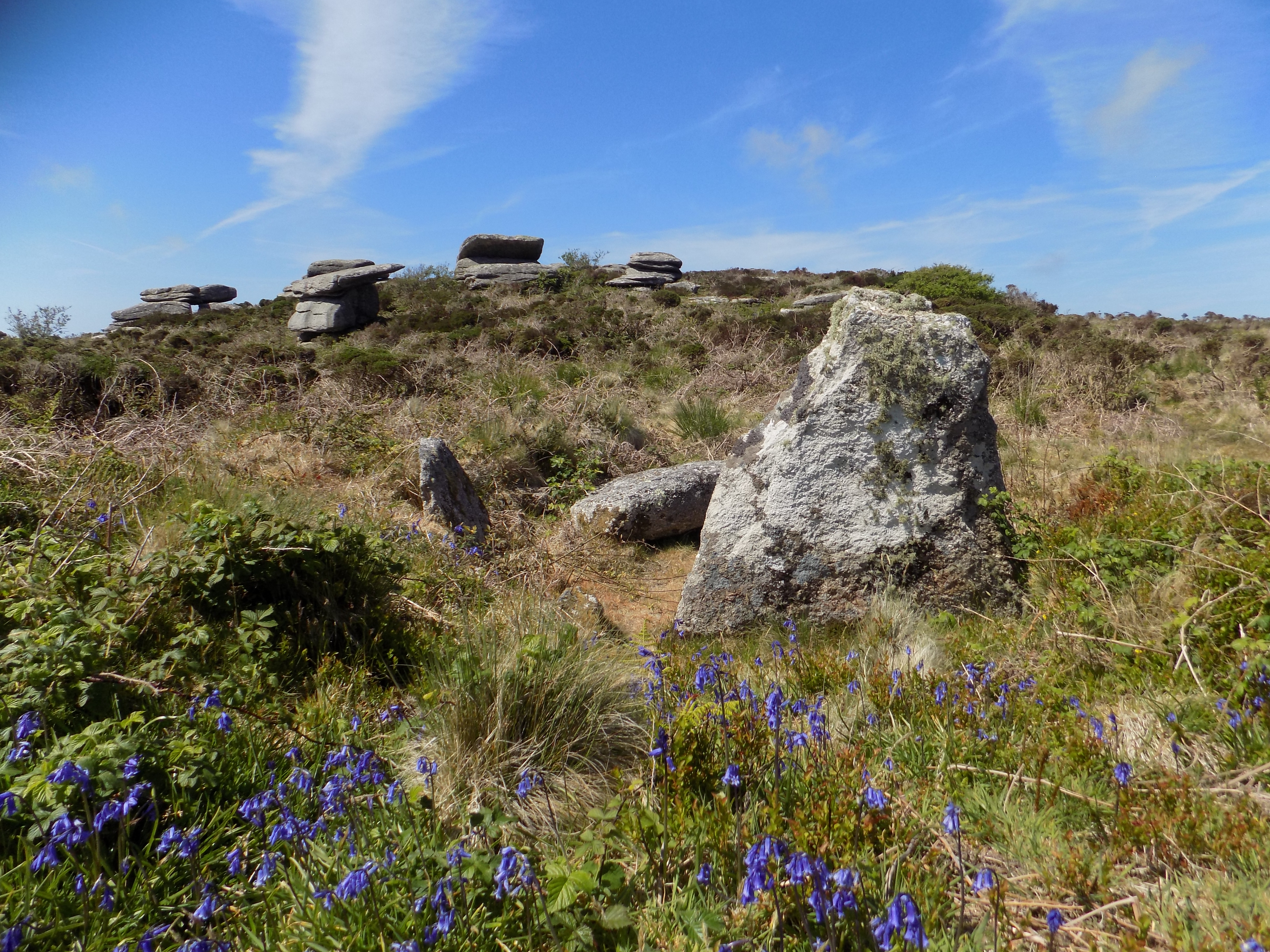 Sperris Quoit in 2019 after it had been cleared of vegetation by the Penwith Landscape Partnership Project.