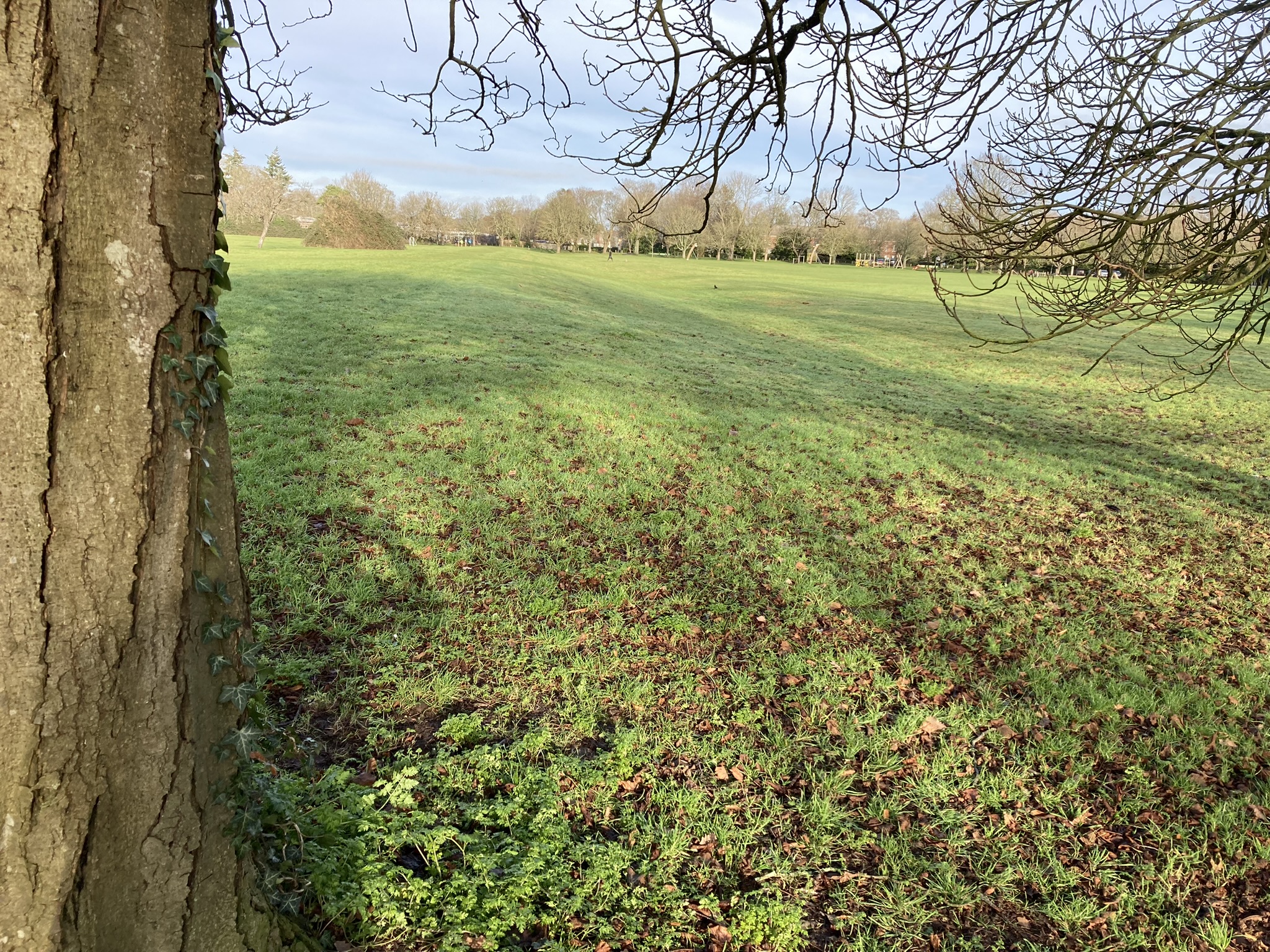 Looking north, along the bank, from the southern end of the section crossing Havenstoke Park