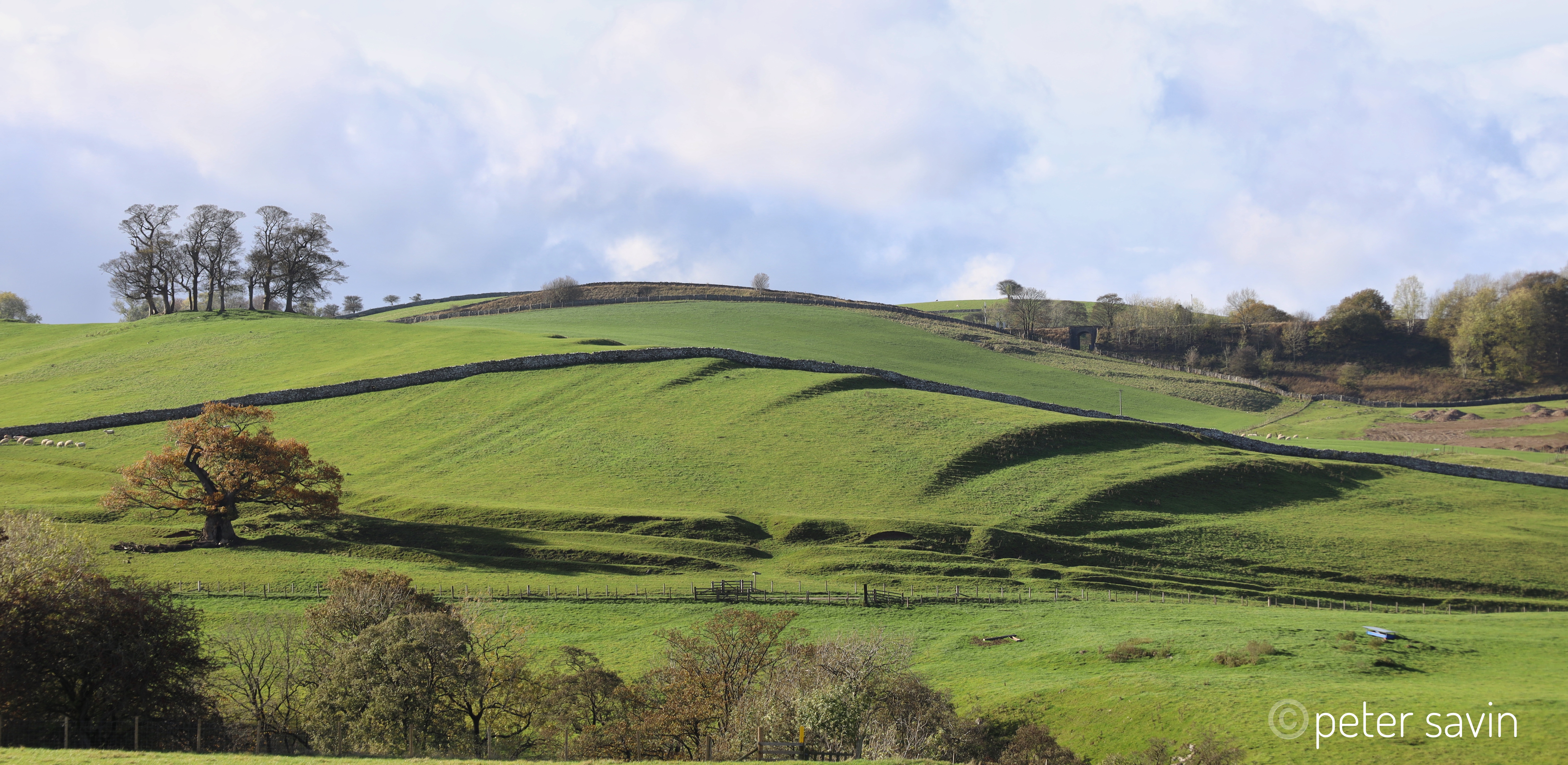 A long green ridge with signs  of ridges showing in the sunlight running transverse over bow of the hill 