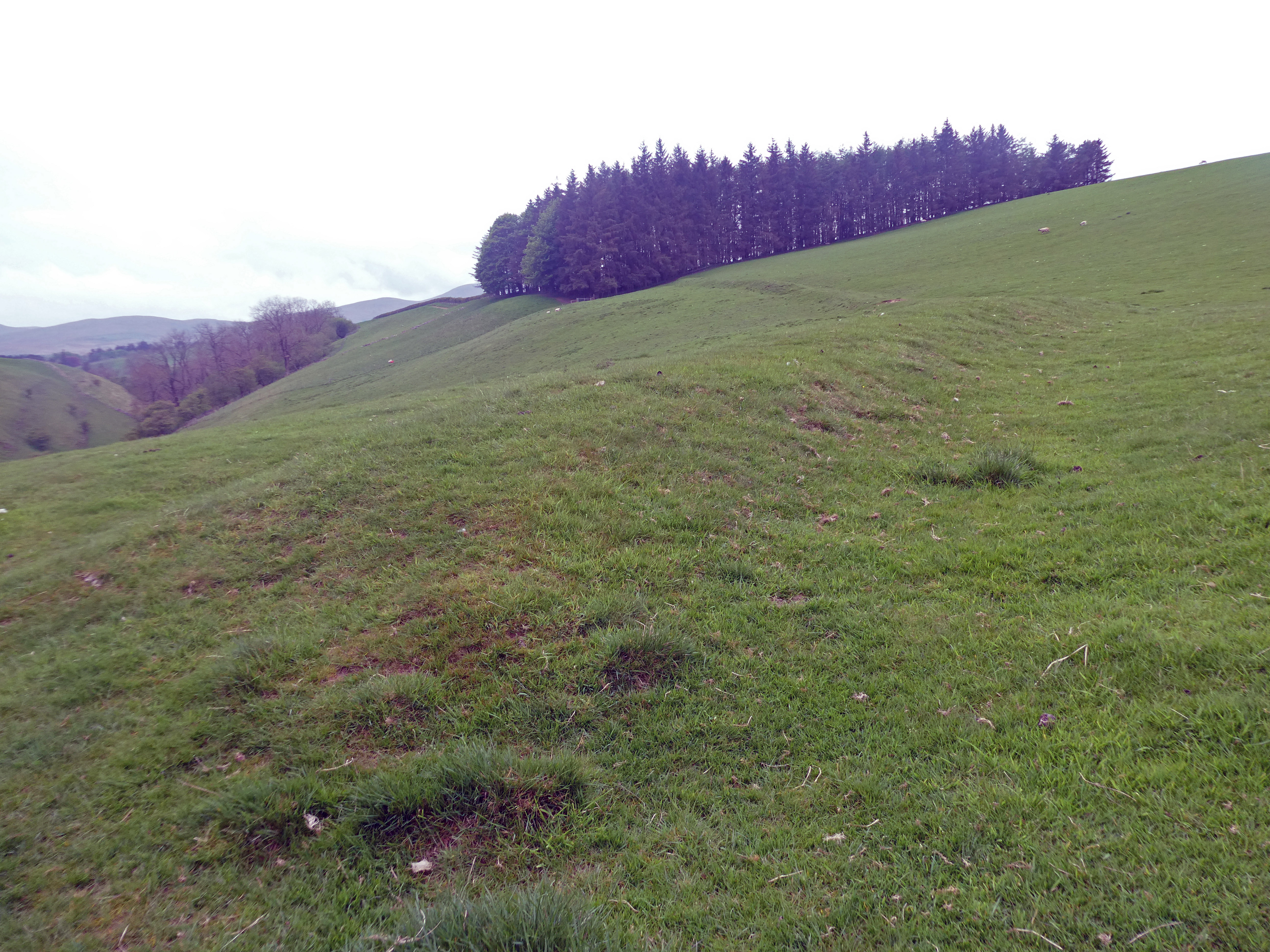 West side of Valley