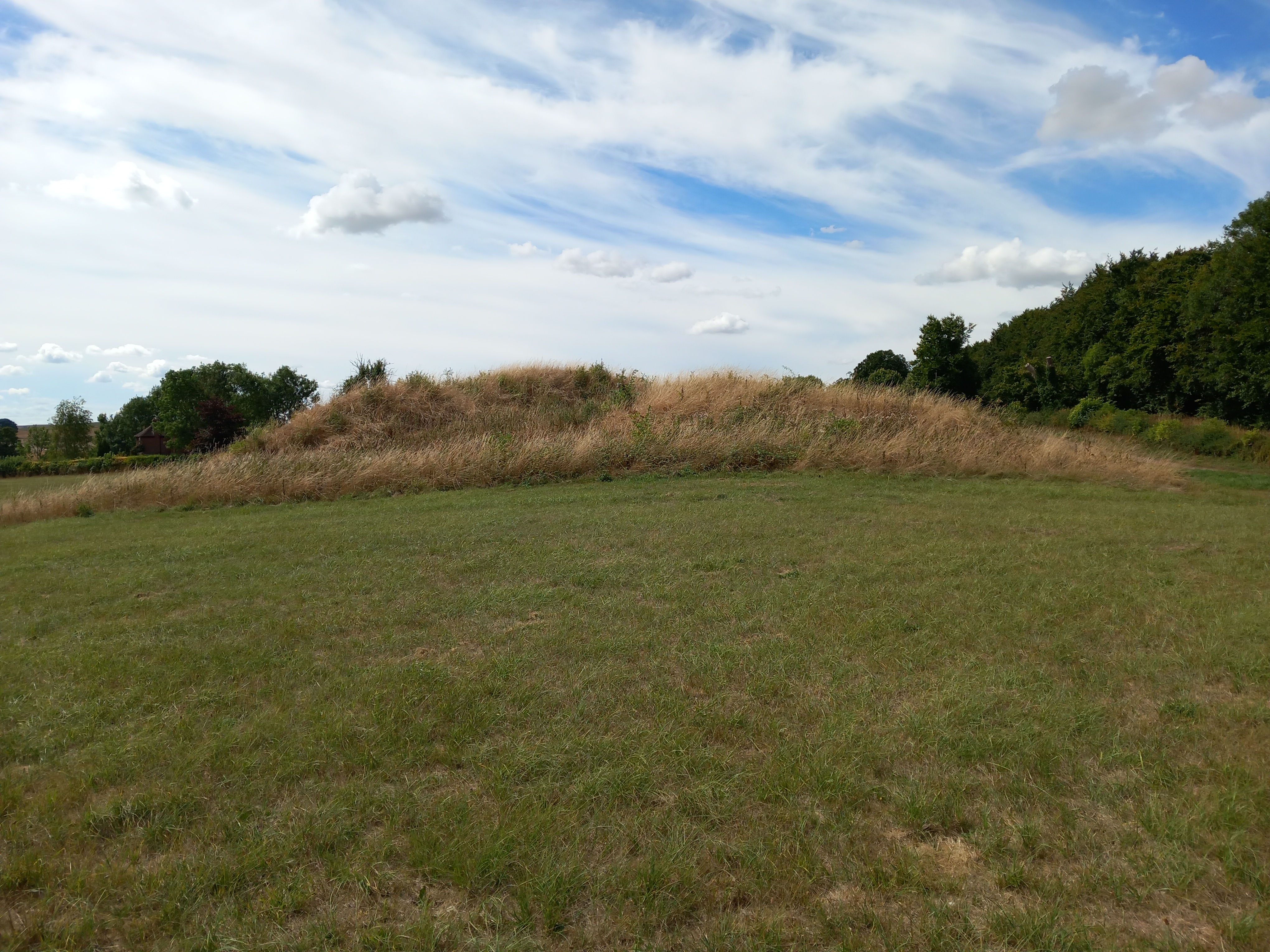 Long Stones long barrow 150m north of Beckhampton House Avebury