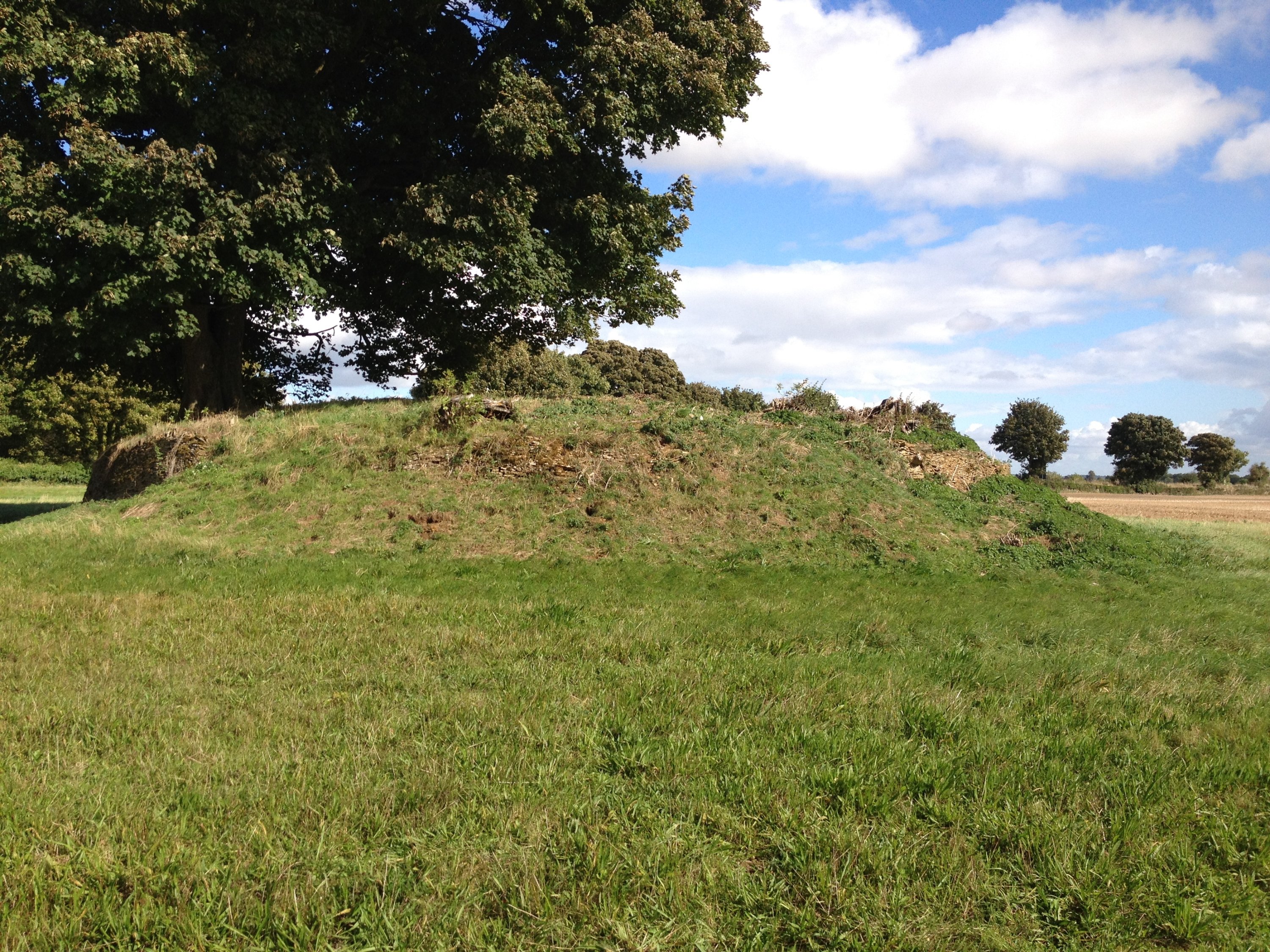 Asthall Barrow an Anglo Saxon burial mound 100m SSW of Barrow