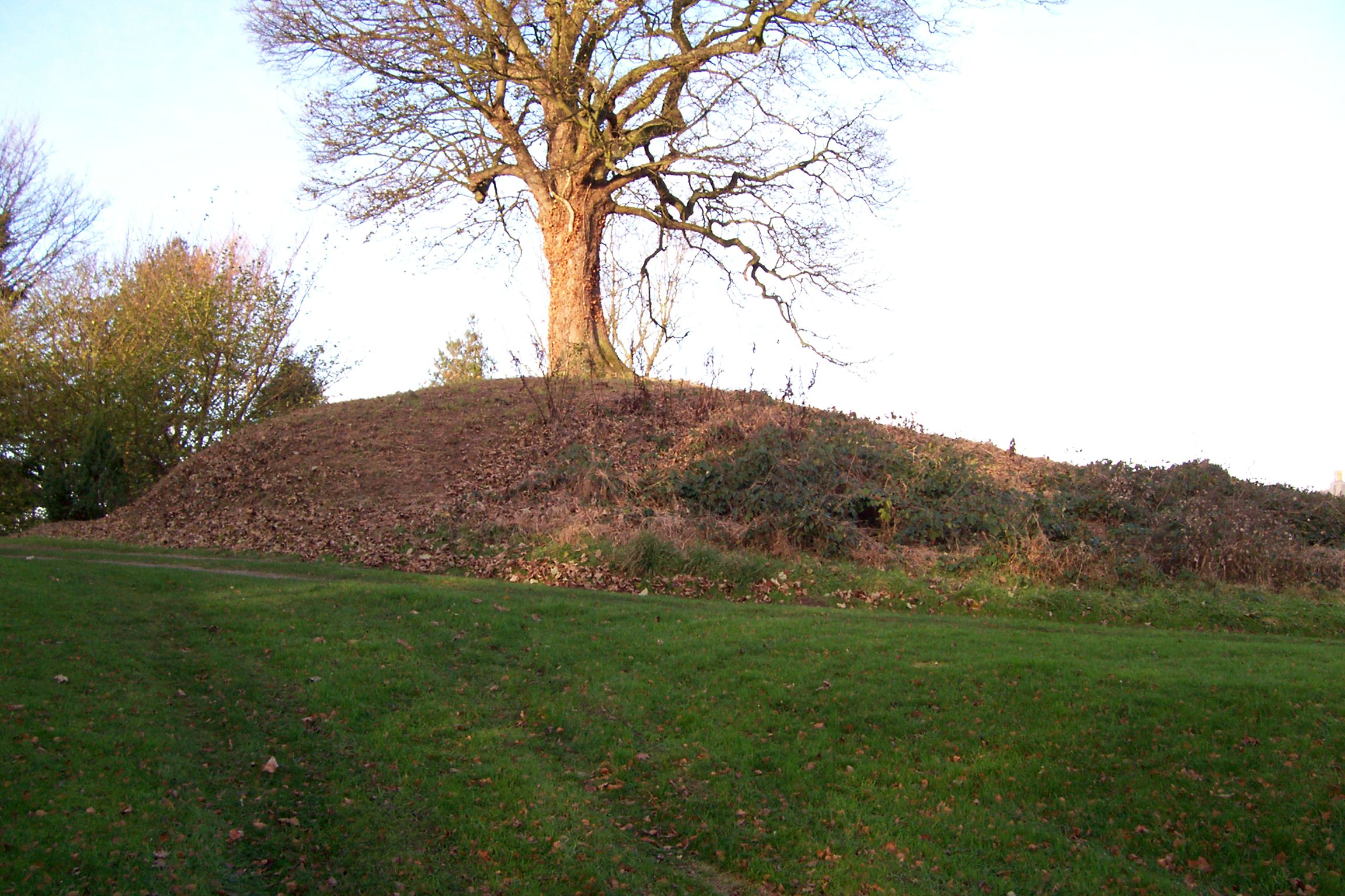 A bowl barrow at Howe Hill 130m south south west of St Felix s