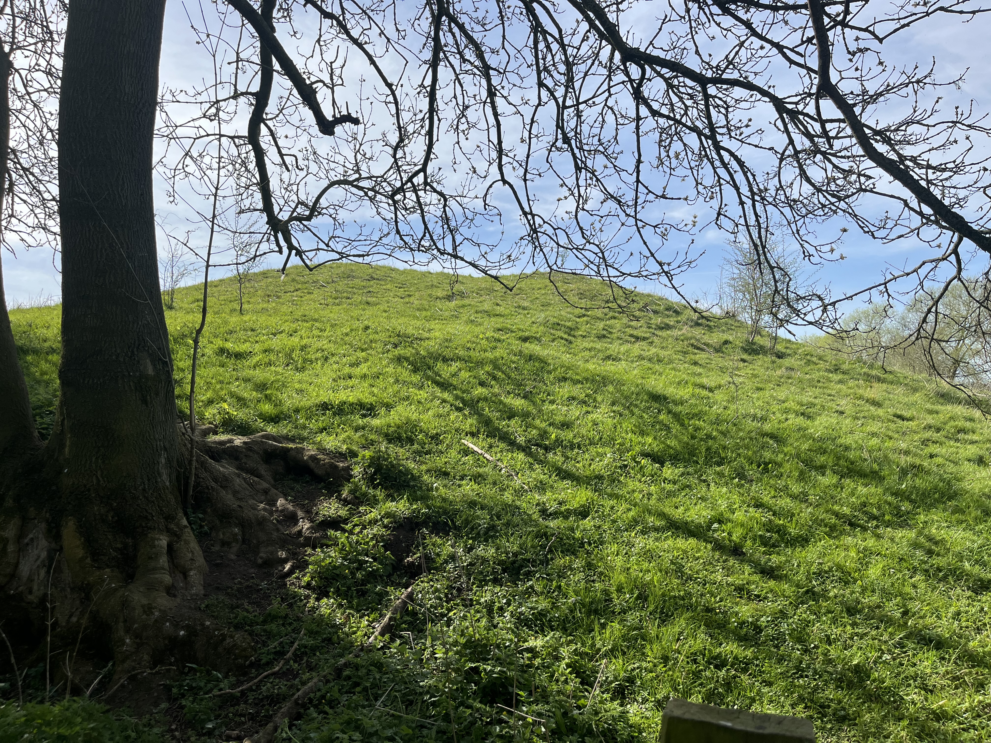 A view of the round barrow at Pudding Pie Hill. The mound is grassed and a large tree stands to one side.