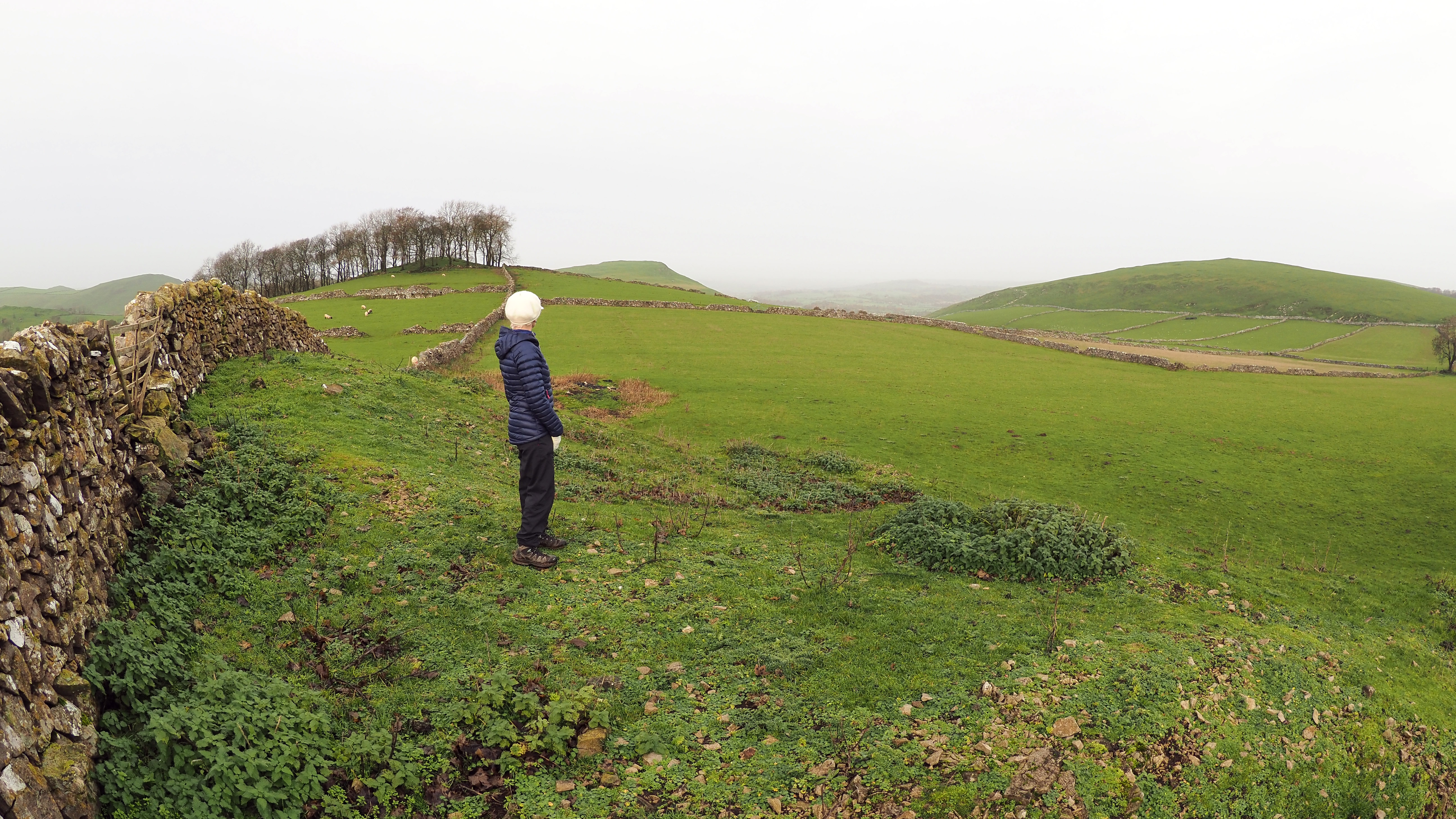 On Pea Low, view north to Narrowdale Hill and Gratton Hill