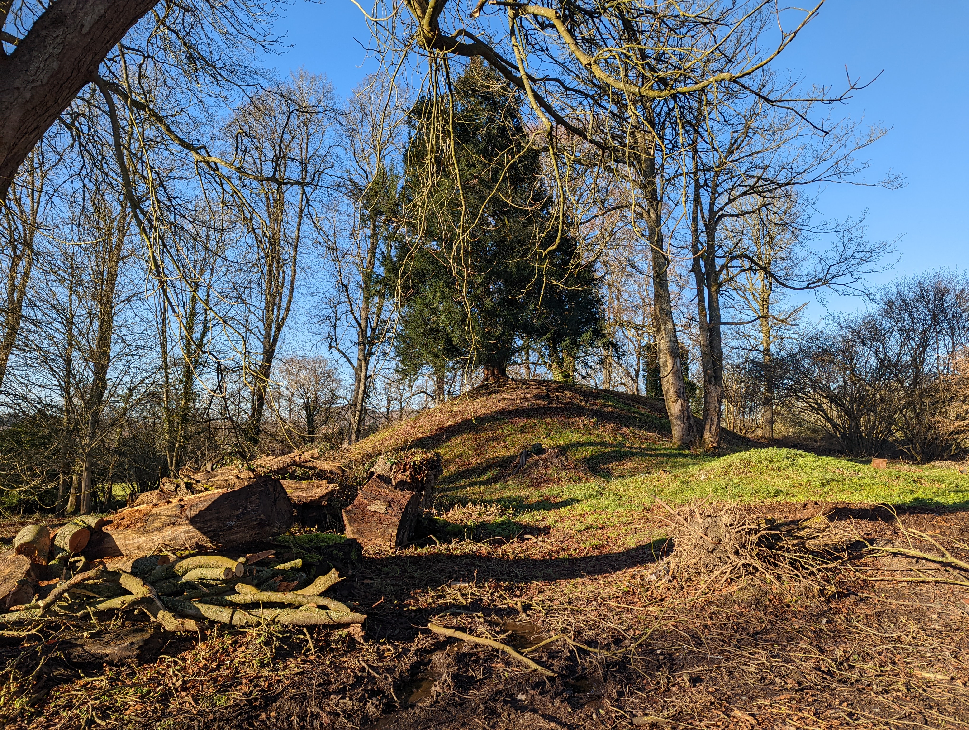 King Barrow a long barrow 100m north of Bishopstrow House