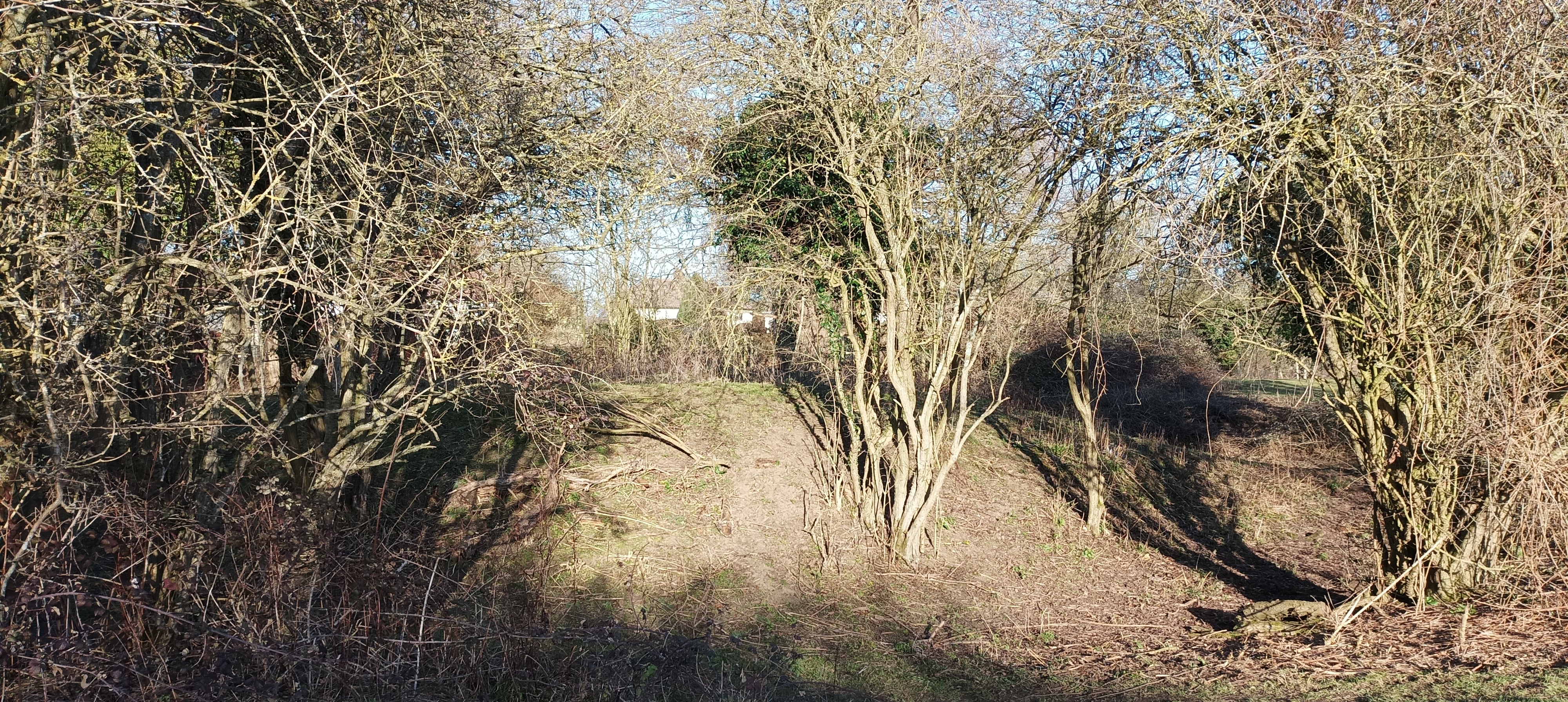 Looking toward the mound