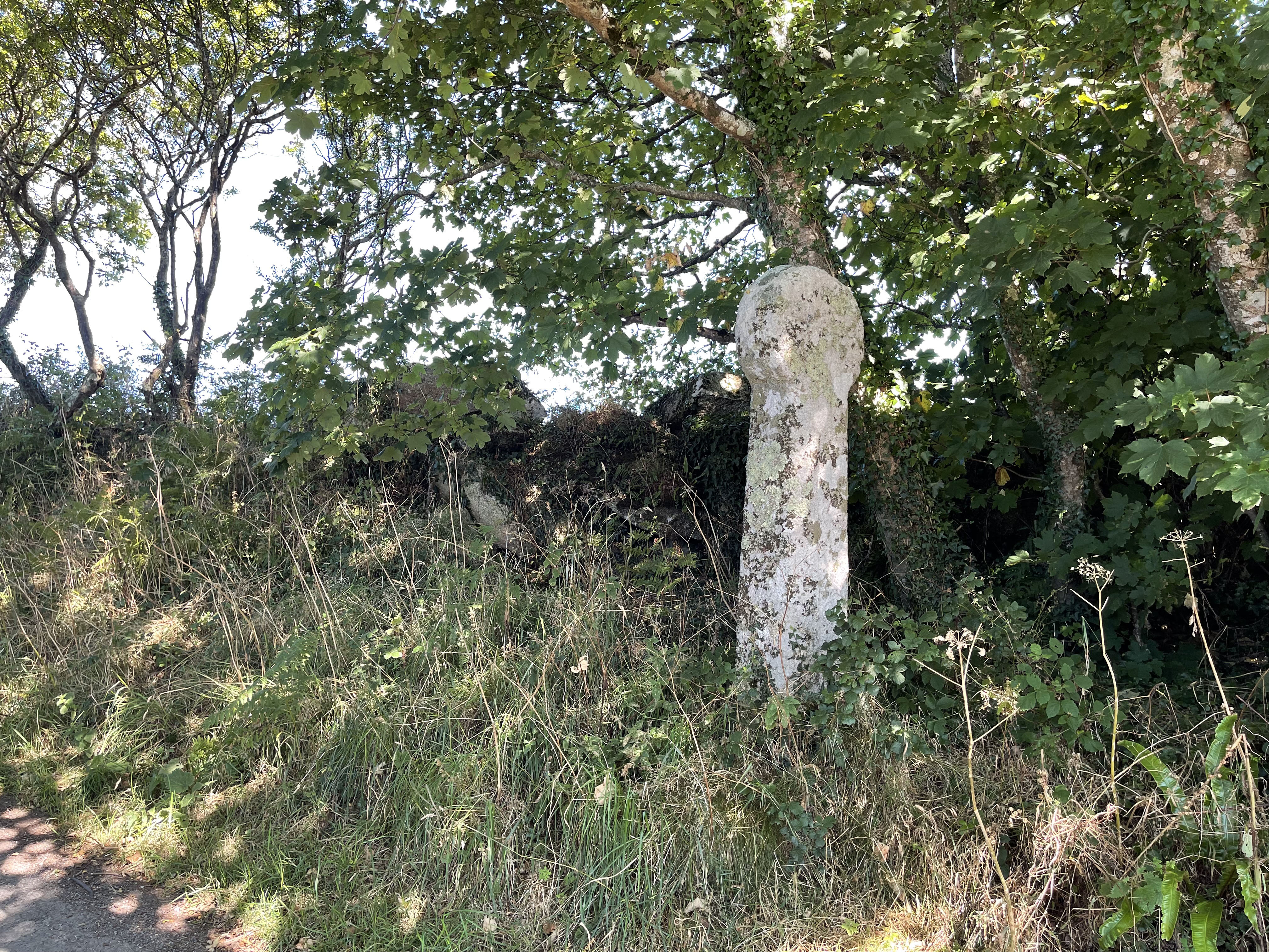 Meruny wayside cross, August 2022