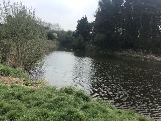 Hyde Lea moated site and fishpond, Coppenhall - 1011064 | Historic England