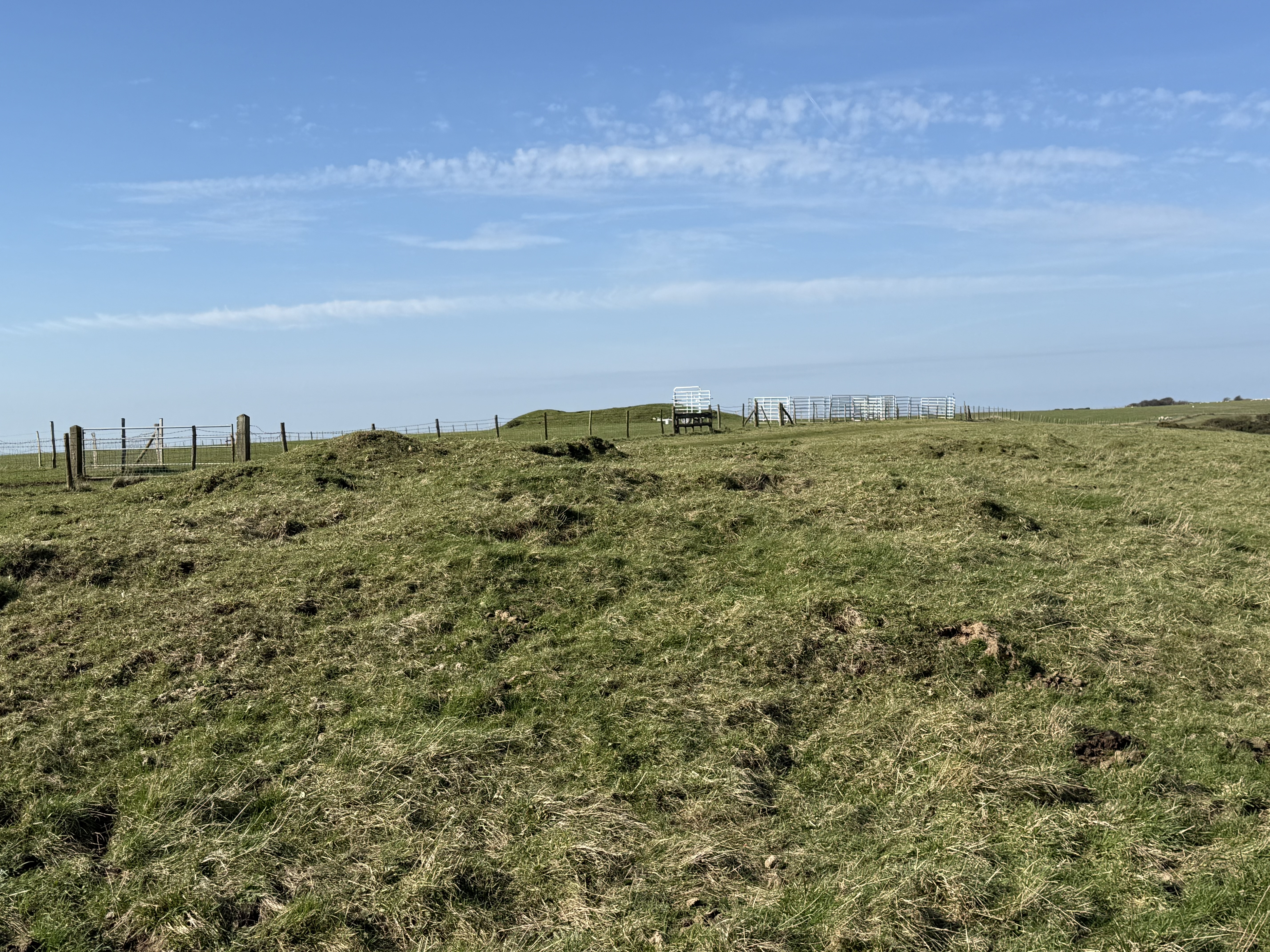 A saucer barrow and a bowl barrow 250m north east of Hill Barn Showing animal - sheep - damage. 