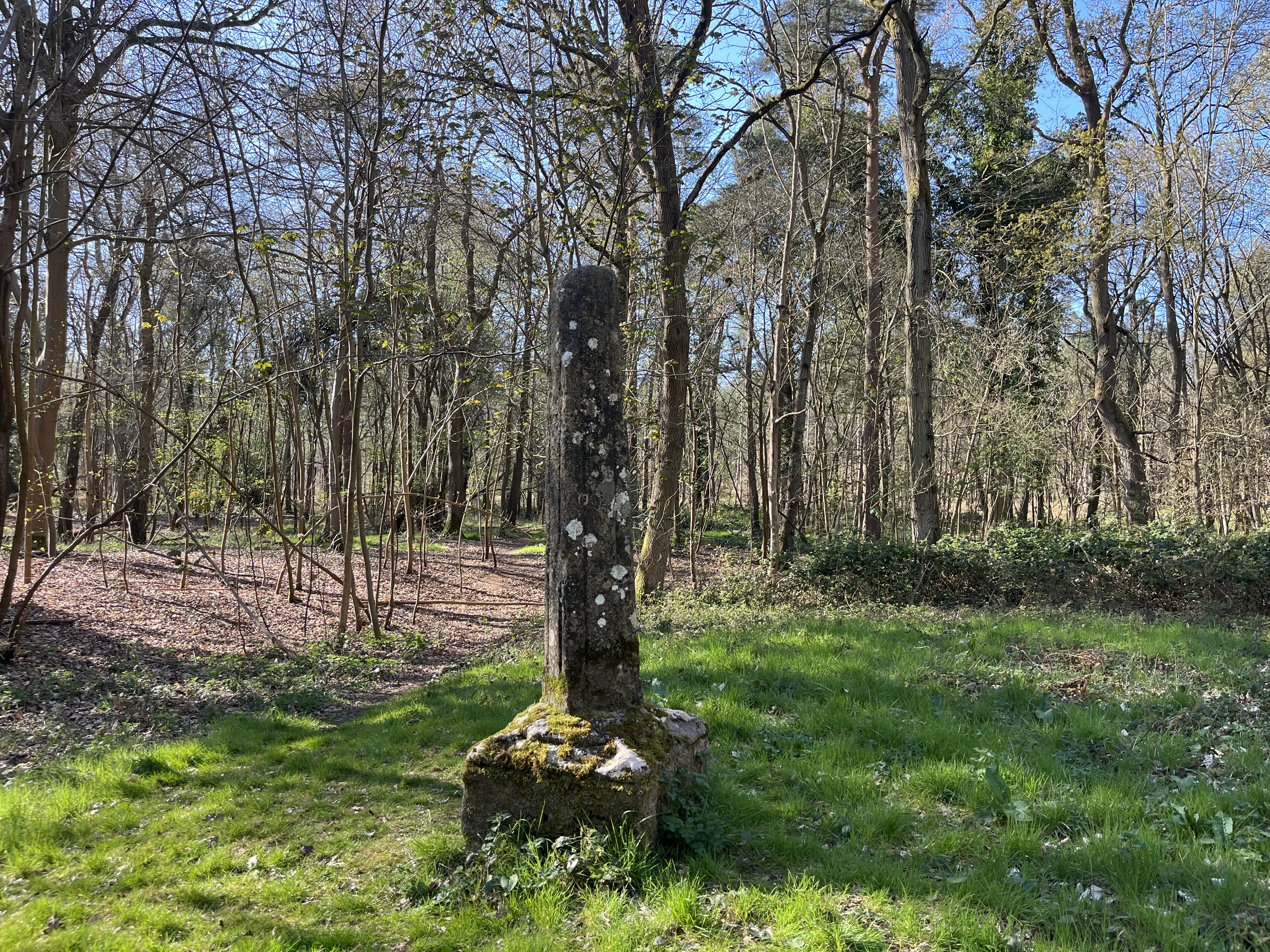 The remains of a stone wayside cross, standing in woodland.