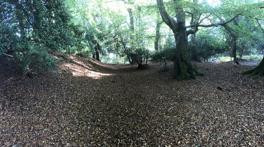 Malwood Castle hillfort, Minstead - 1016493 | Historic England