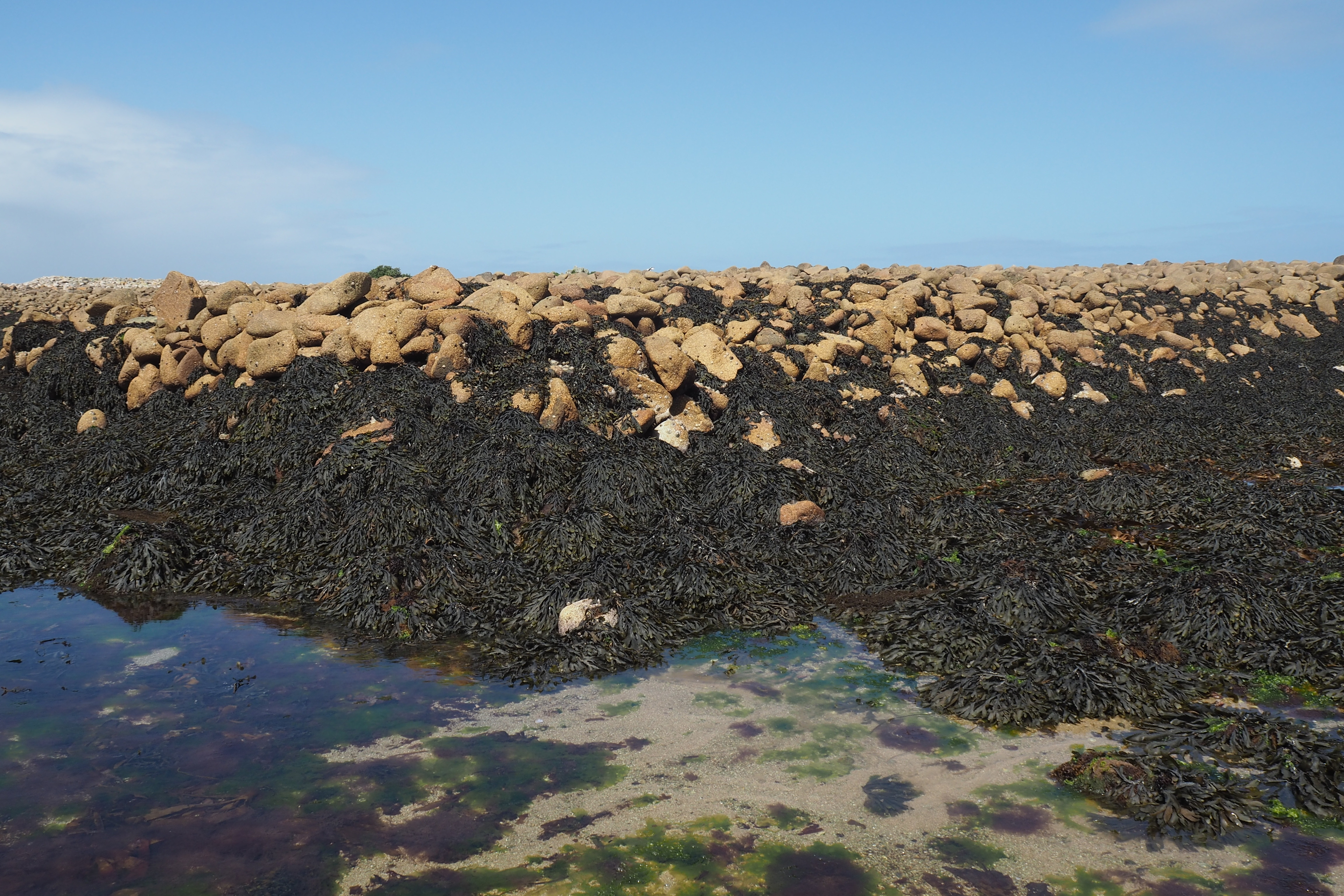The northern quay from the beach level view is looking approximately NW.