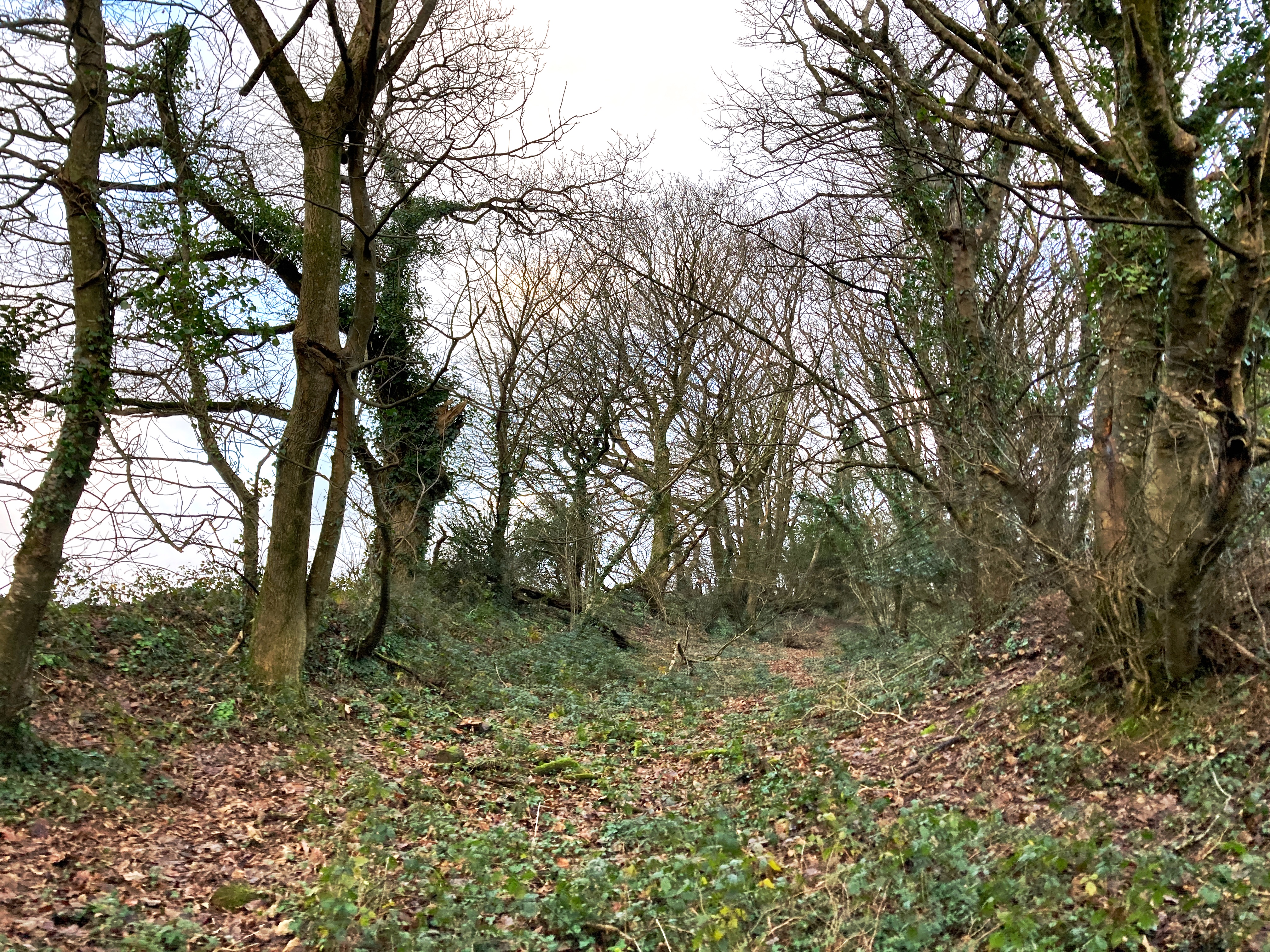 Bank and ditch at Golden hillfort