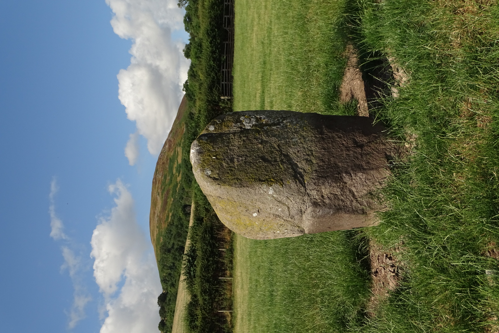 The battle stone commemorating The Battle of Humbleton Hill. A Grey stone, marketing with lichen