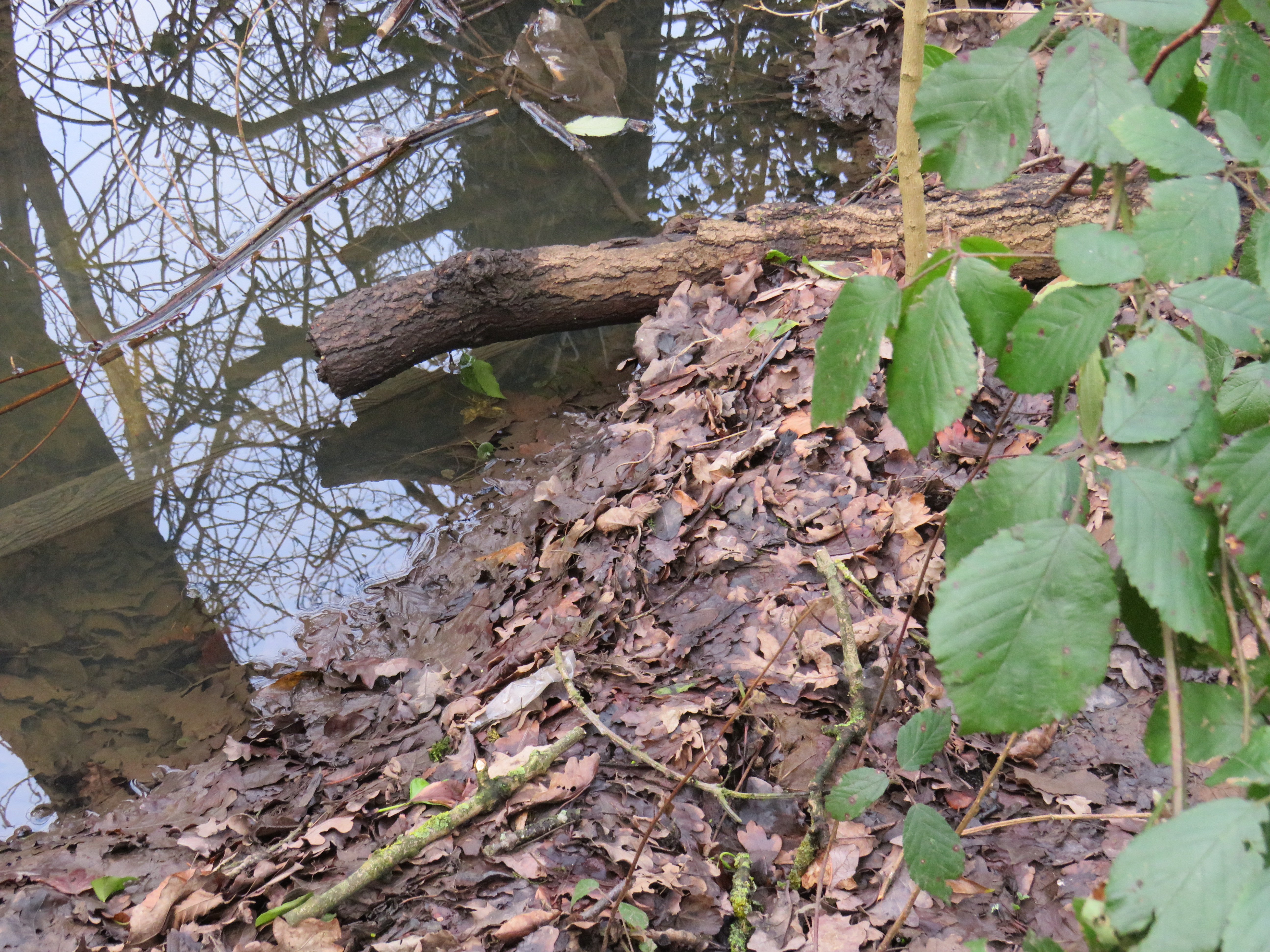 Part of the moat taken 2018