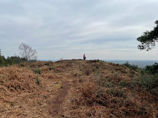 The Rainbarrows A Group Of Three Bowl Barrows On Duddle Heath