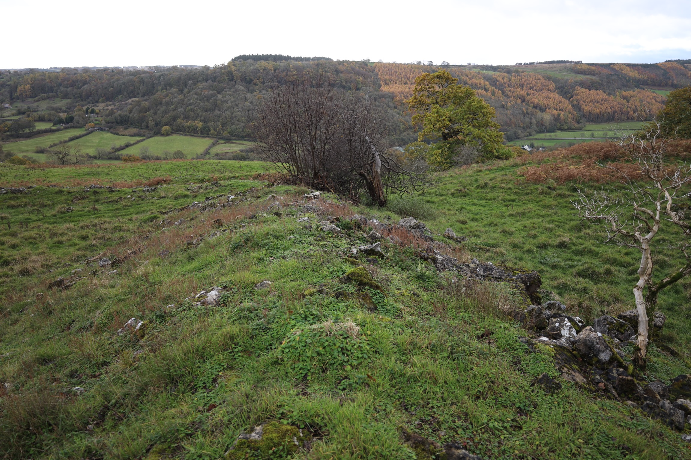 The western rampart of the west enclosure 
