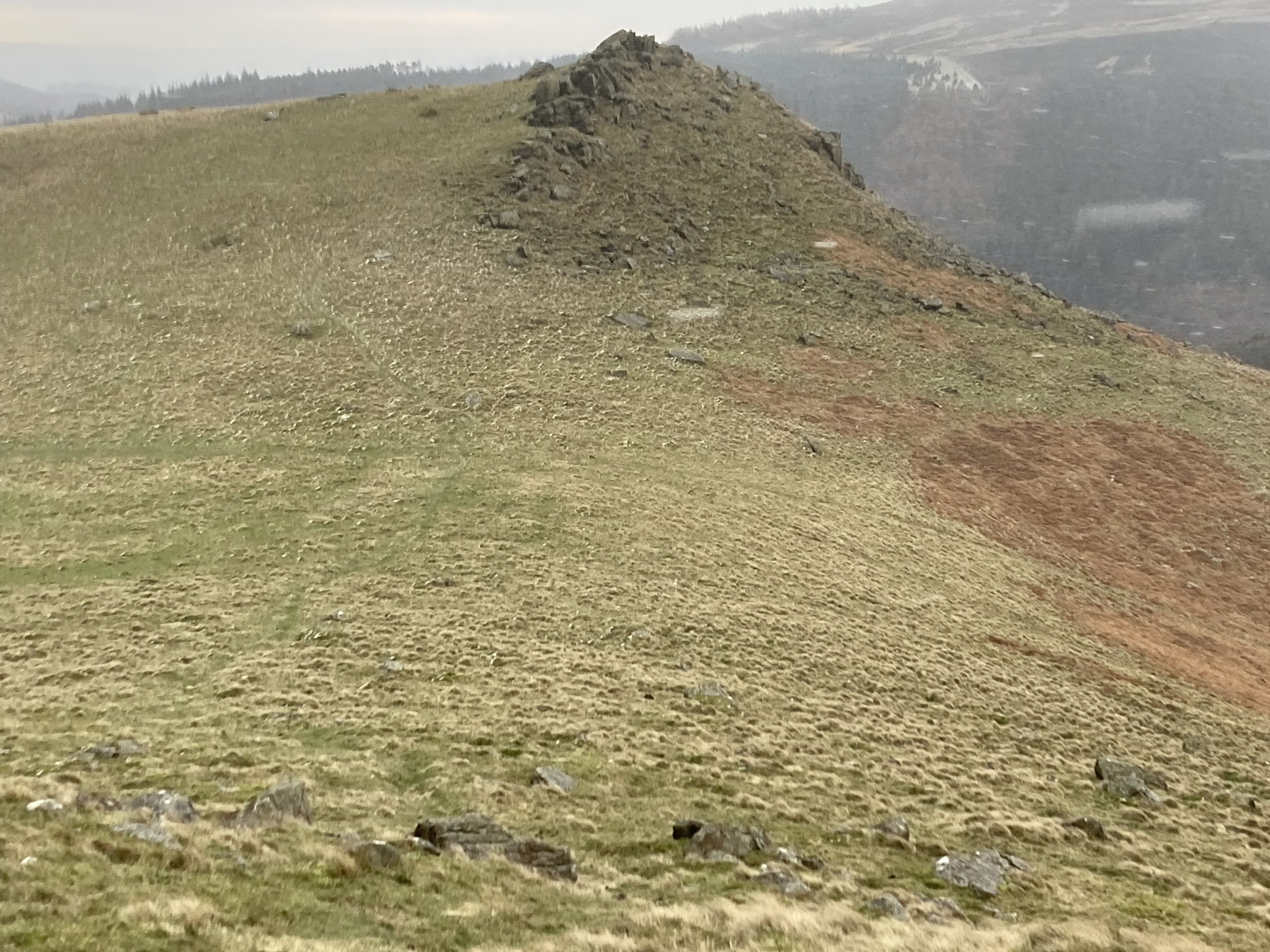 Faint outline of stone circle in landscape.
Mid point from viewing point towards Crook Hill.
