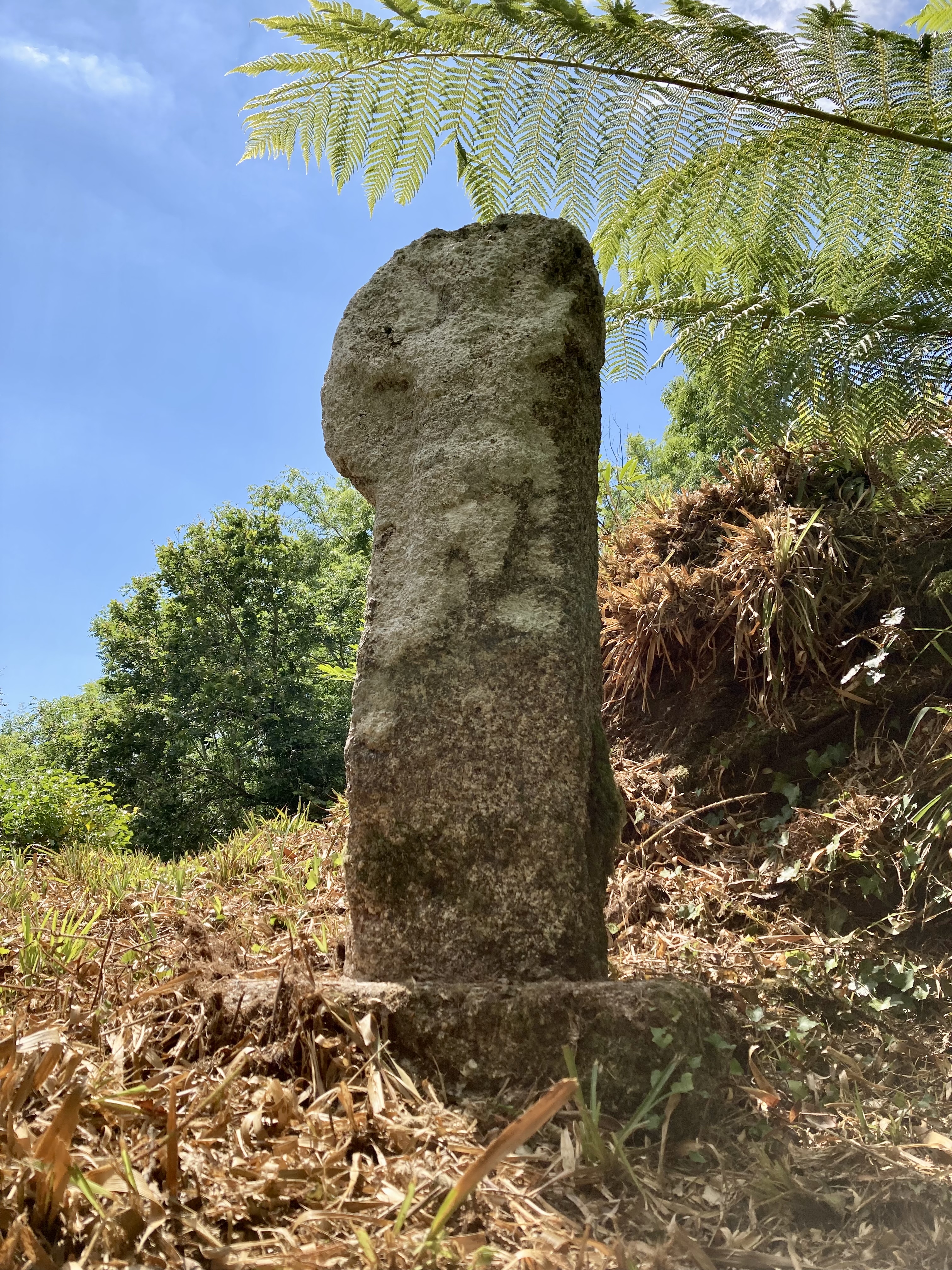 The Cornish cross in Trelissick Garden.