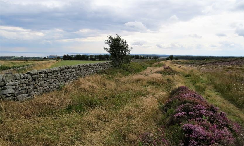 Medieval dyke known as Green Dike, LCPs of Fylingdales and Hawsker-cum ...