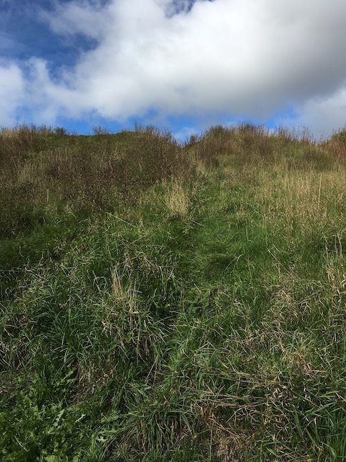 View up the bailey's hill from the St Anne's Church side.