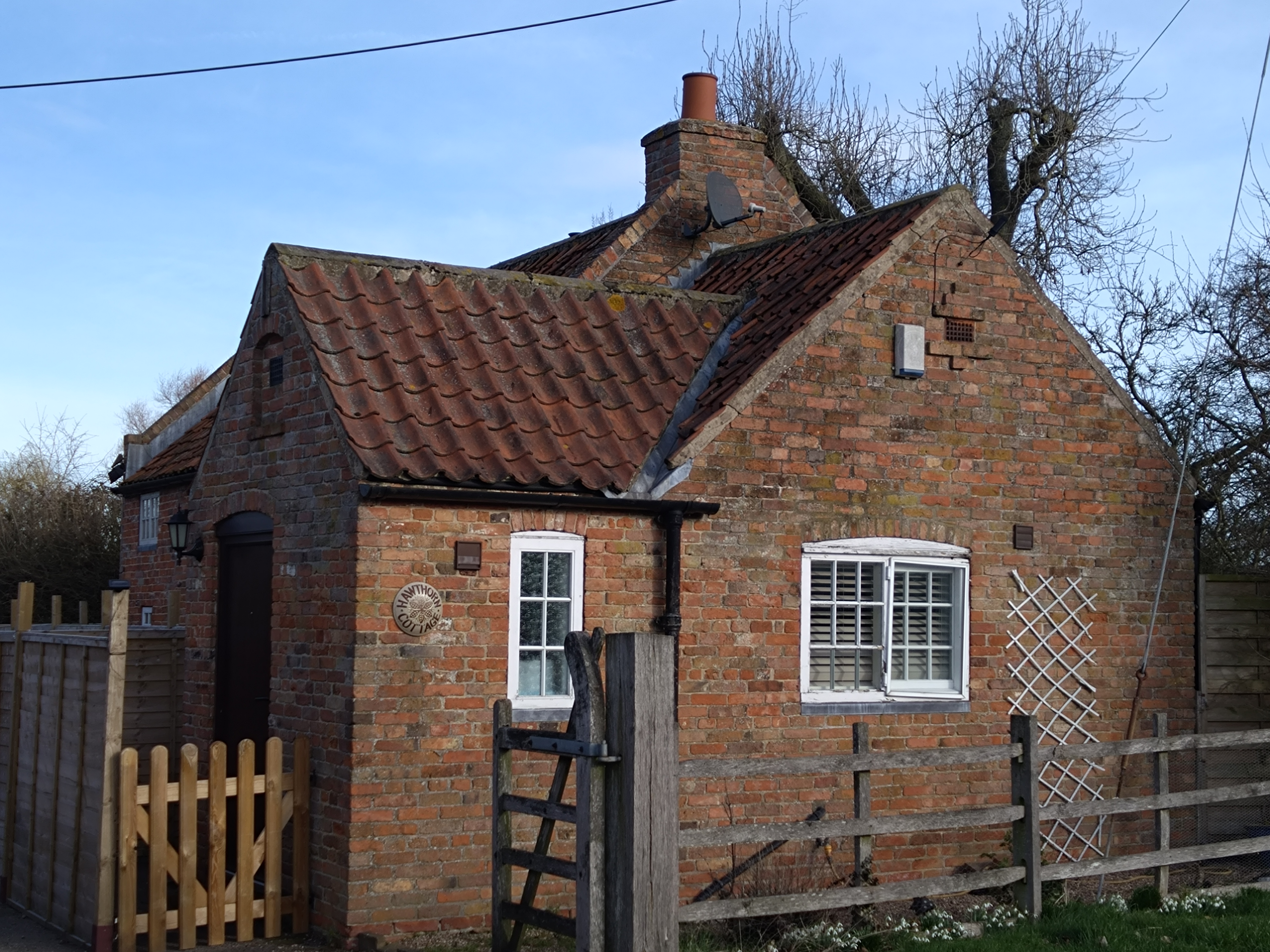 User submitted image