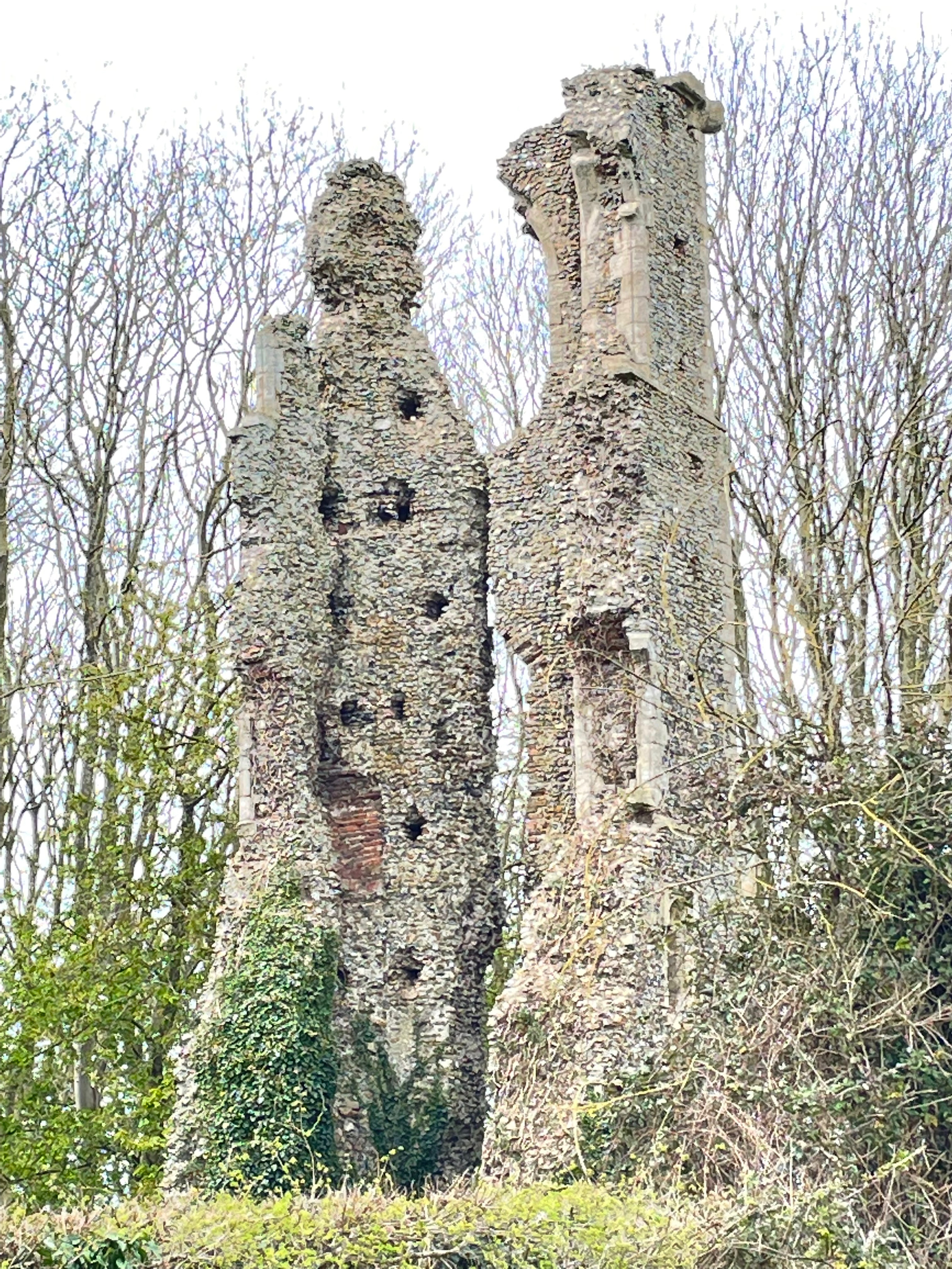 Rockland St Andrew's church, remains of the tower, now largely inhabited by crows and surrounded by trees