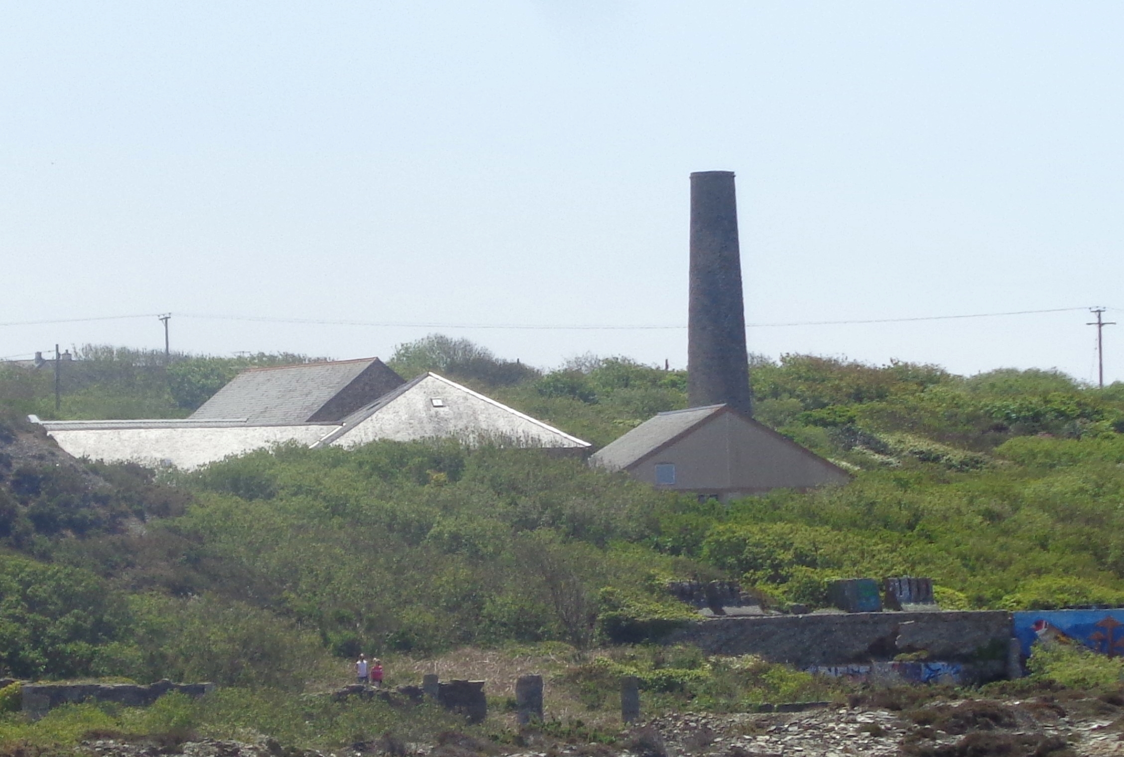User submitted image