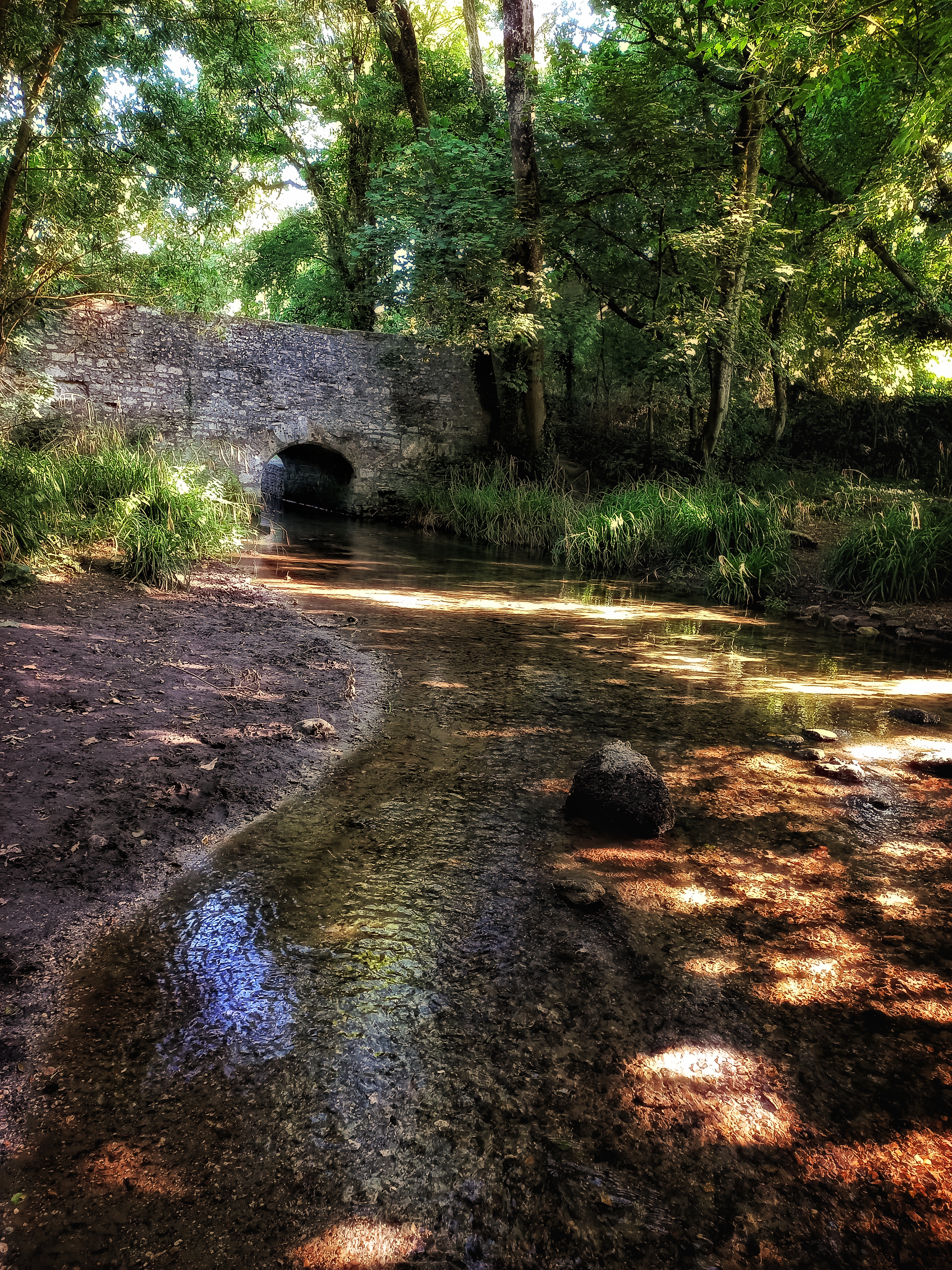 Looking north along the River Cerne.