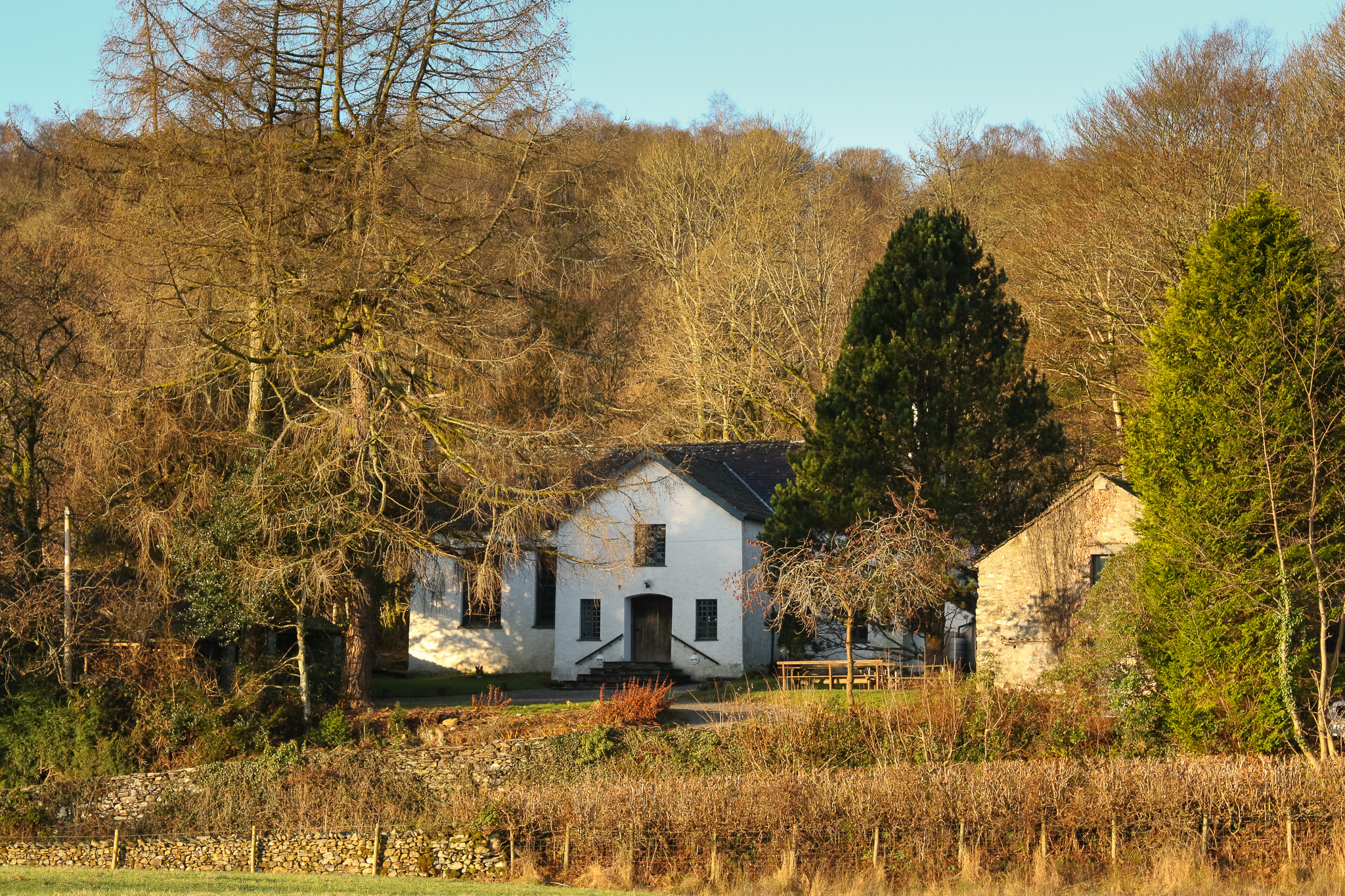 Old building surrounded by trees