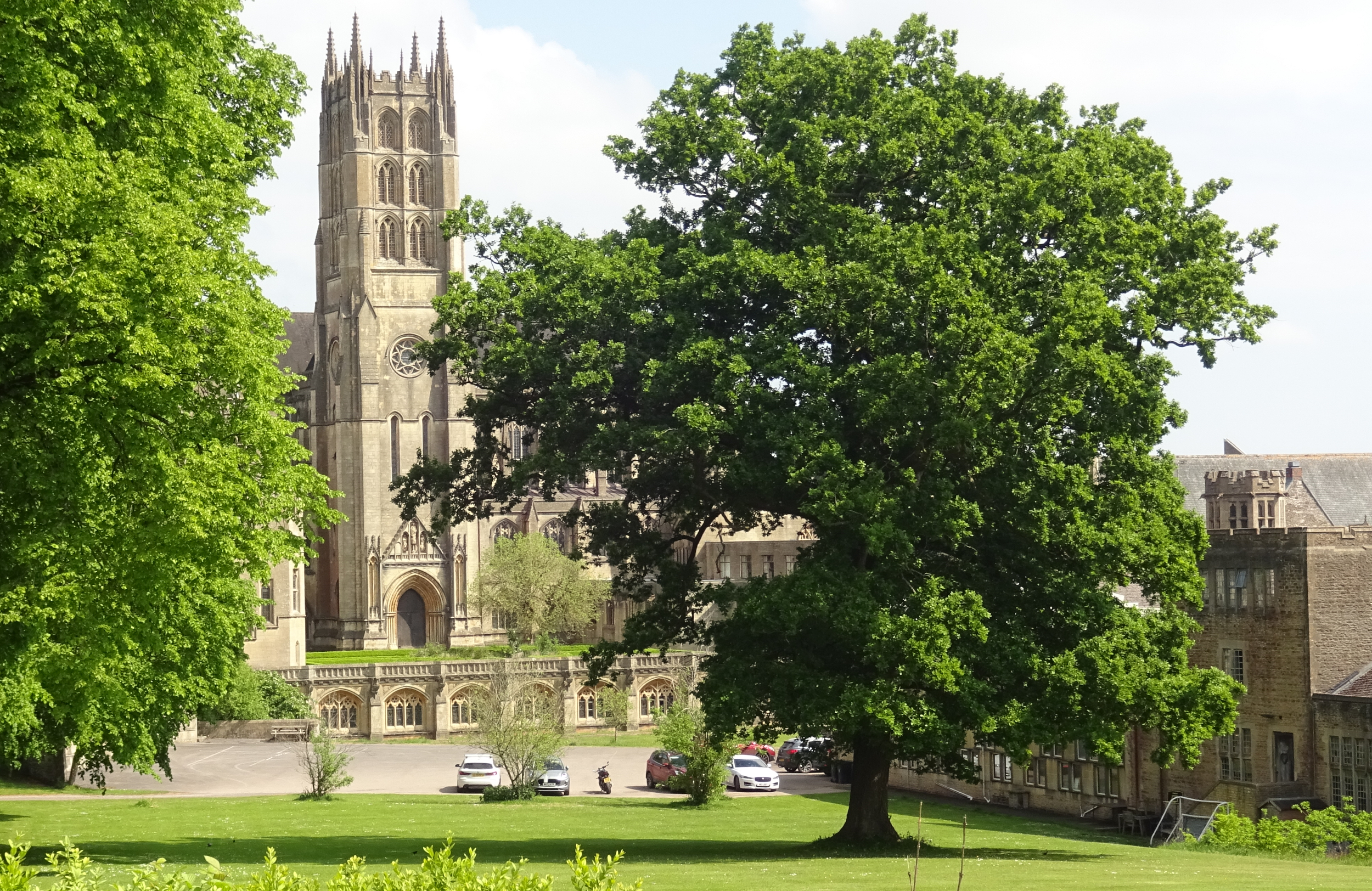 User submitted image