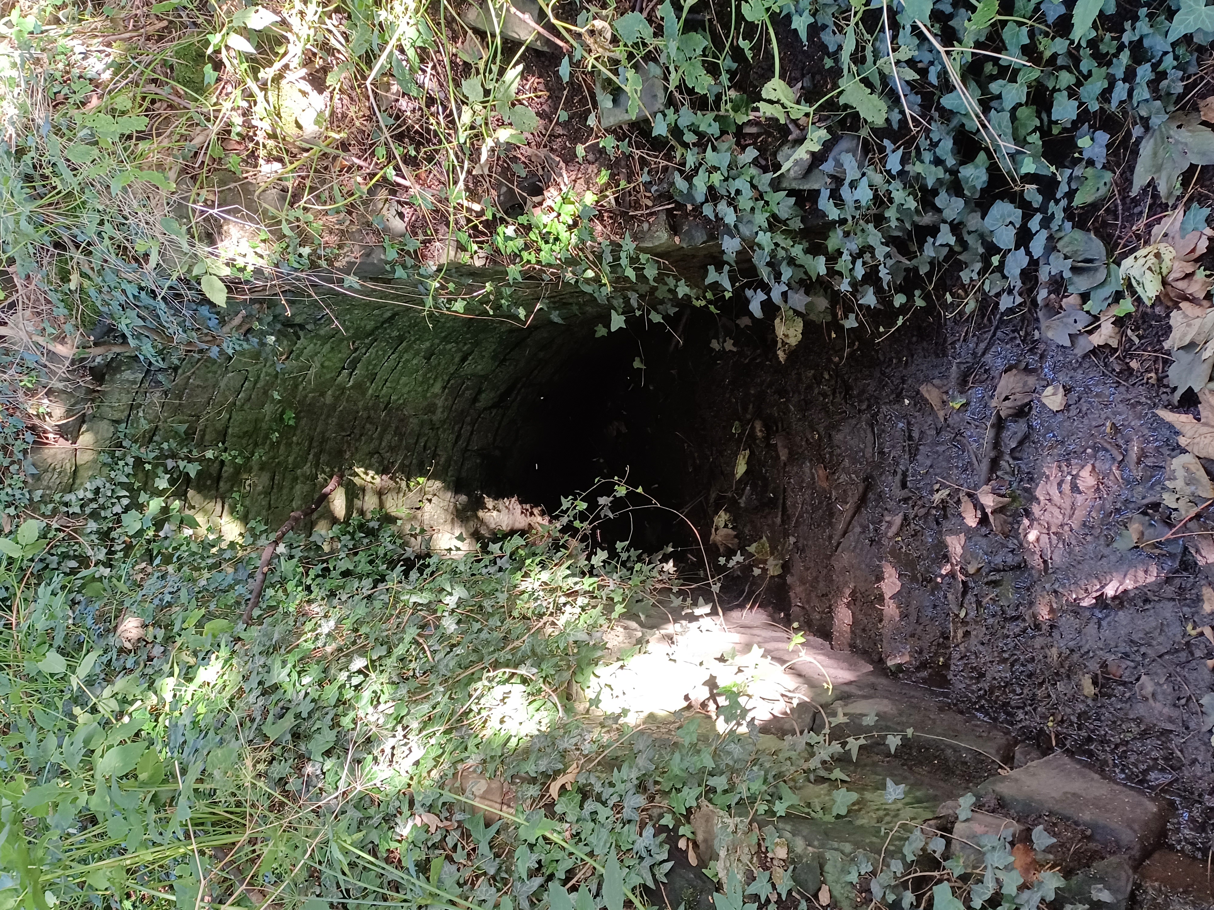 Ice House, Crofton Hall Stables, Thursby