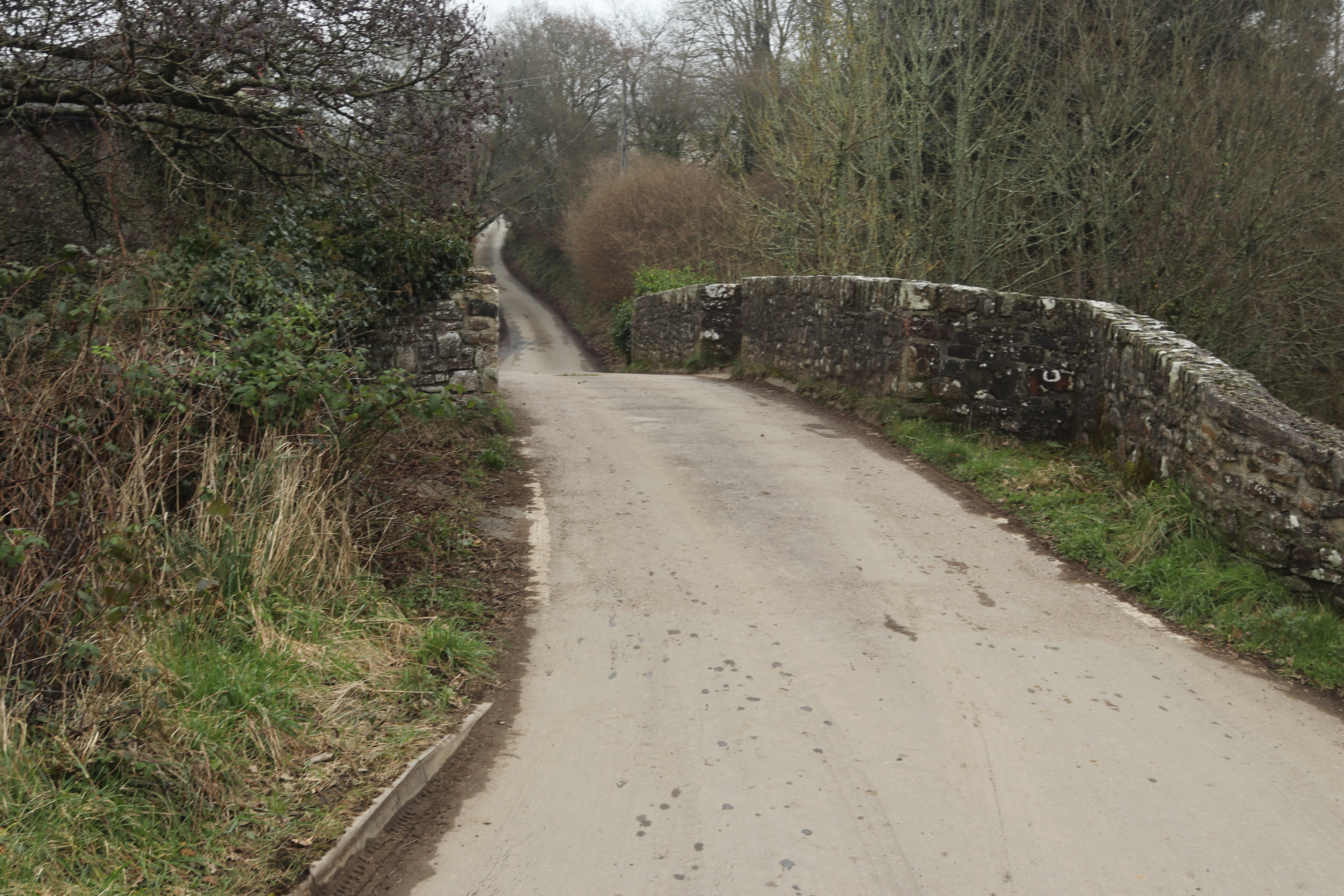 The roadway of Bondleigh Bridge from the west.