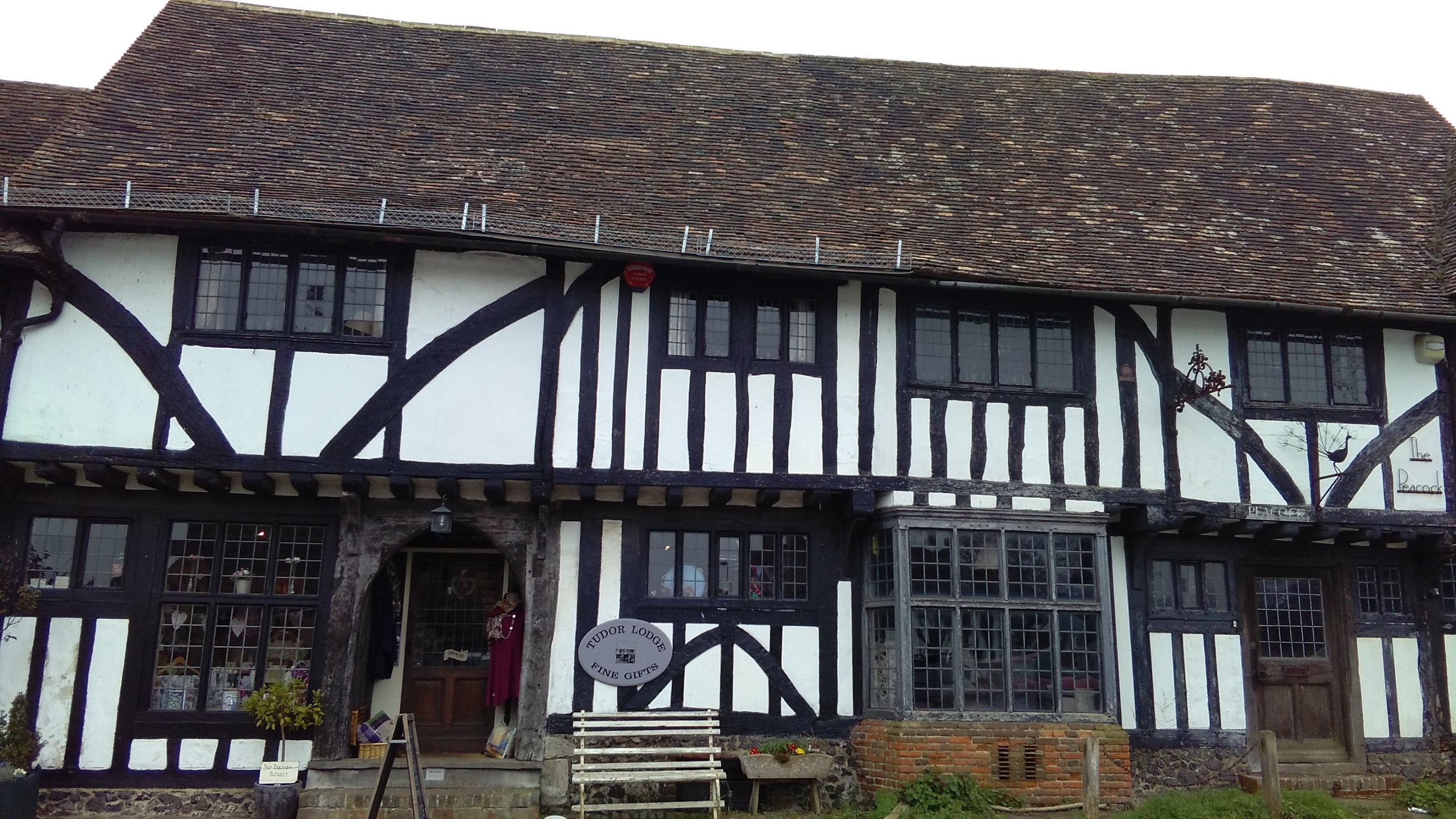 Tudor shops online