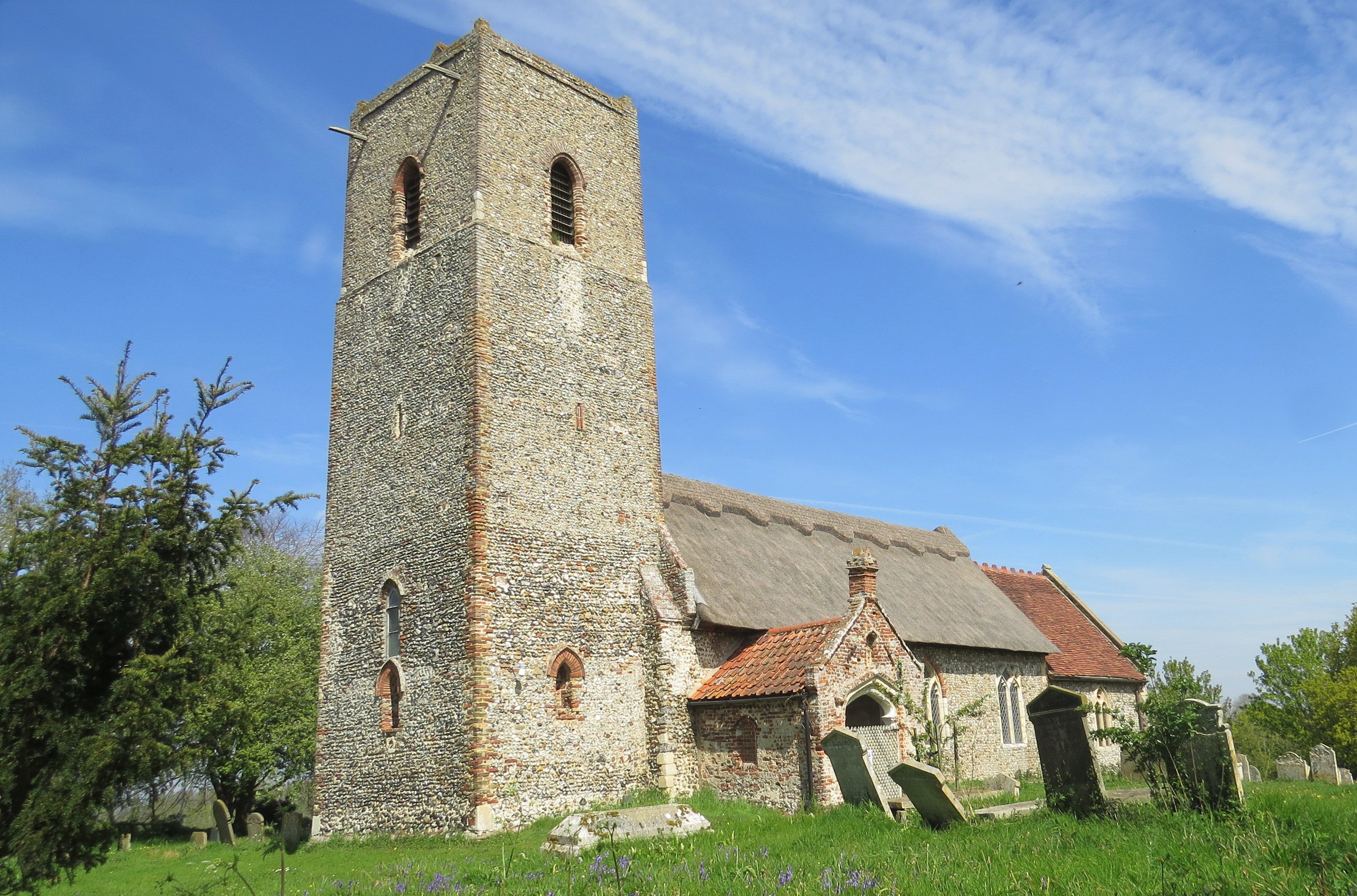 User submitted image