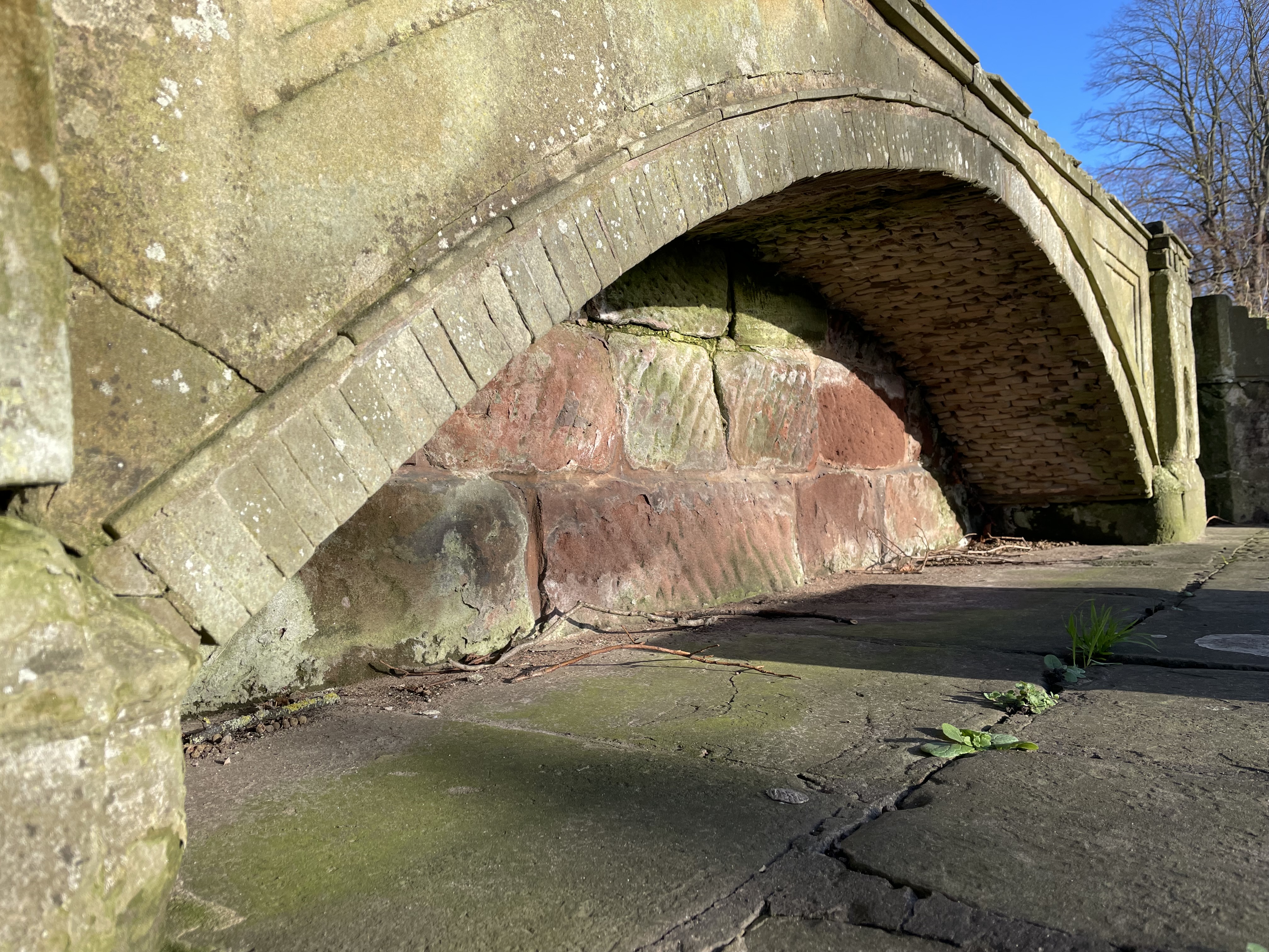 Oblique view of main arch.