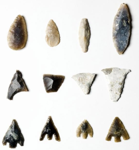 Shops Fossil an arrow heads. B88