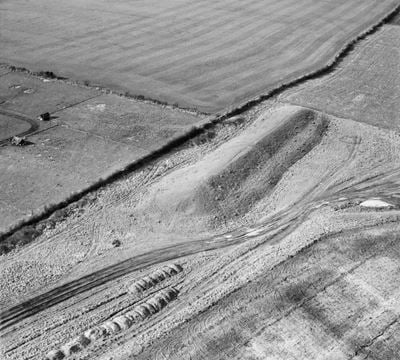 Pimperne Long Barrow, Tarrant Hinton, 1951