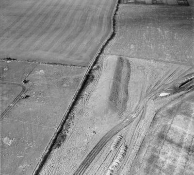 Pimperne Long Barrow, Tarrant Hinton, 1951